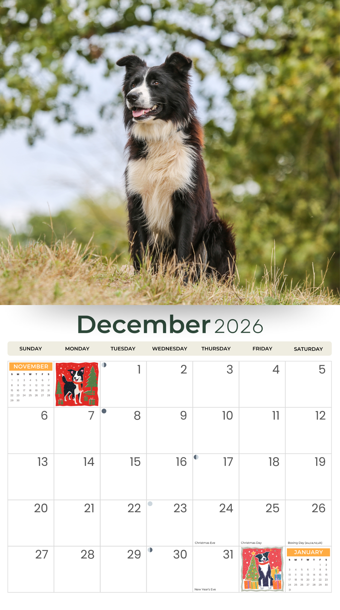 2026_Border_Collies_-_Deluxe_Wall_Calendar_Inside_Cover_4.png