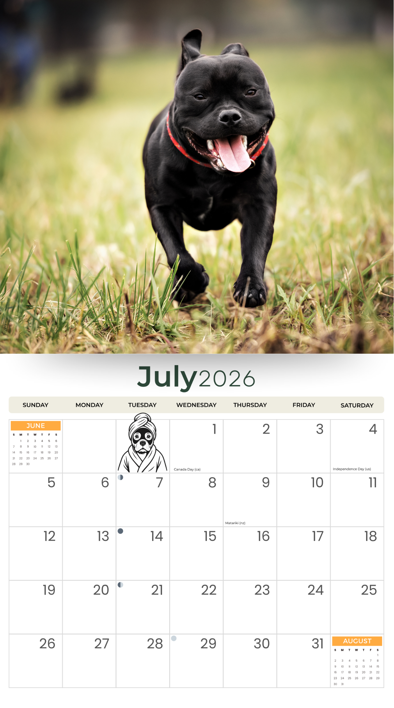 2026 Staffordshire Bull Terrier - Deluxe Wall Calendar
