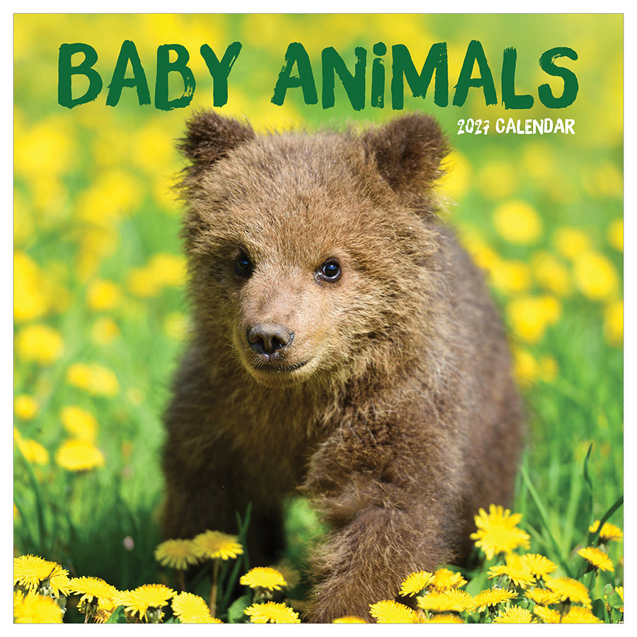 2027 Baby Animals Square Wall Calendar front cover