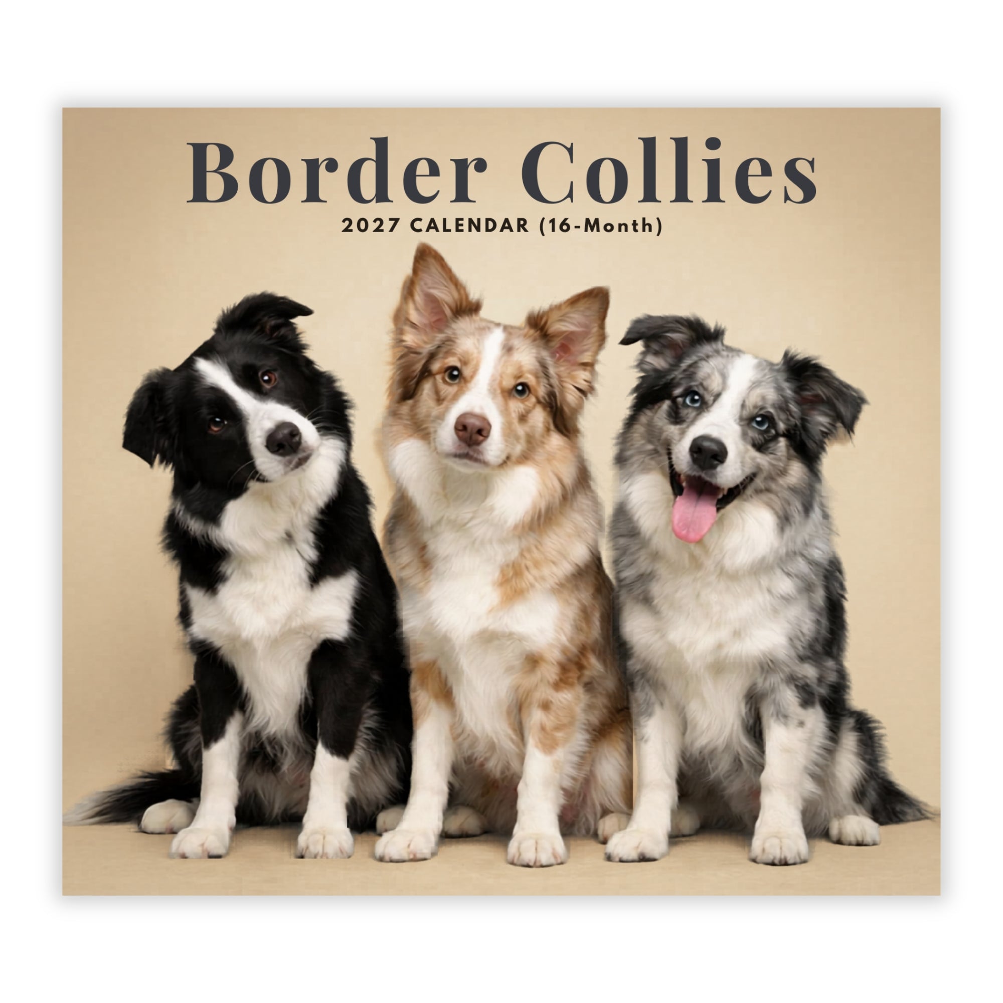 2027 Border Collies - Deluxe Wall Calendar