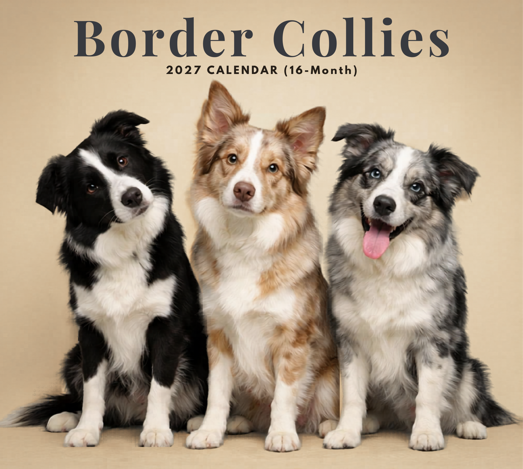 2027_Border_Collies_Calendar_-_Front_Cover.png
