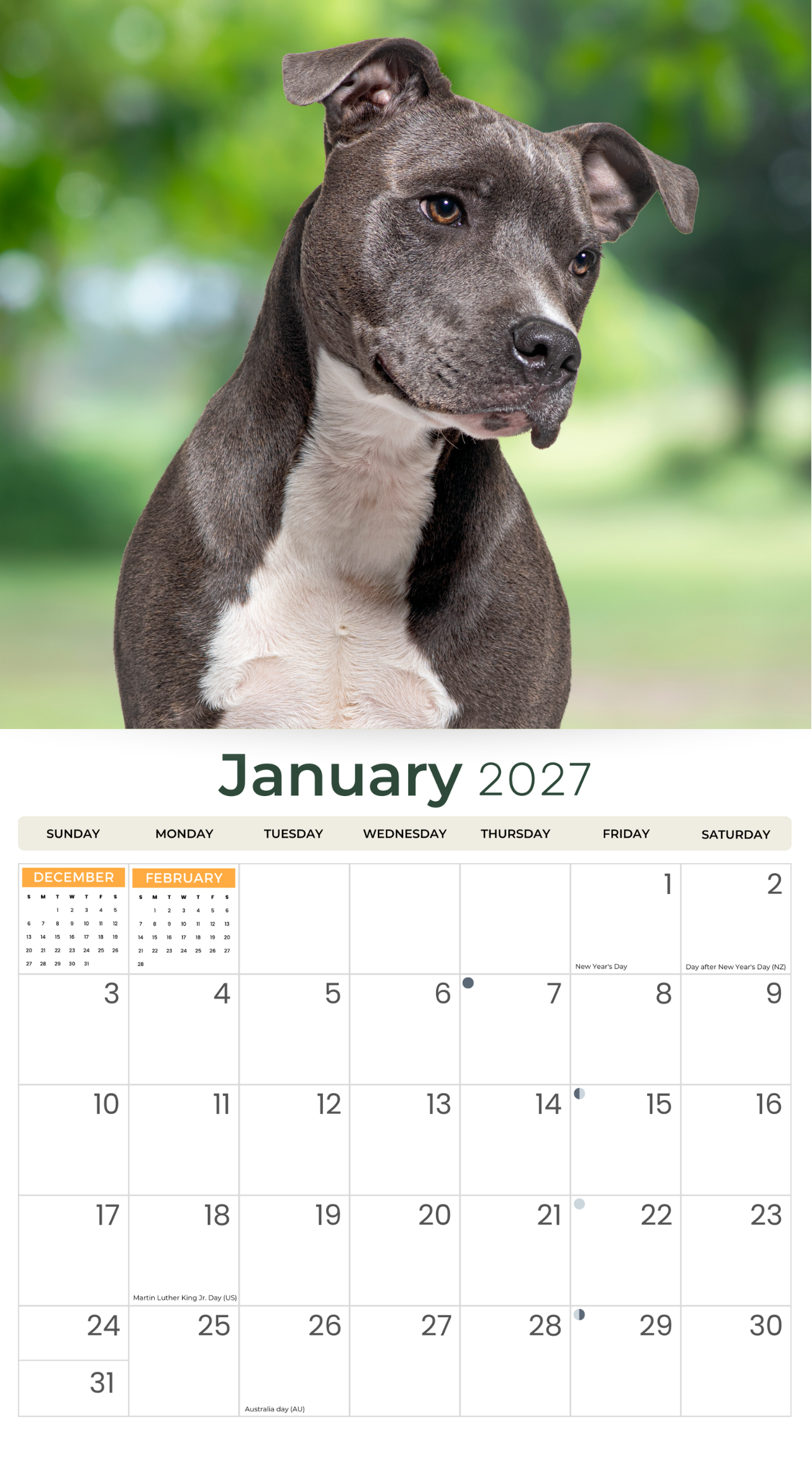 2027_Staffordshire_Bull_Terrier_-_Deluxe_Wall_Calendar__Inside_cover_.png