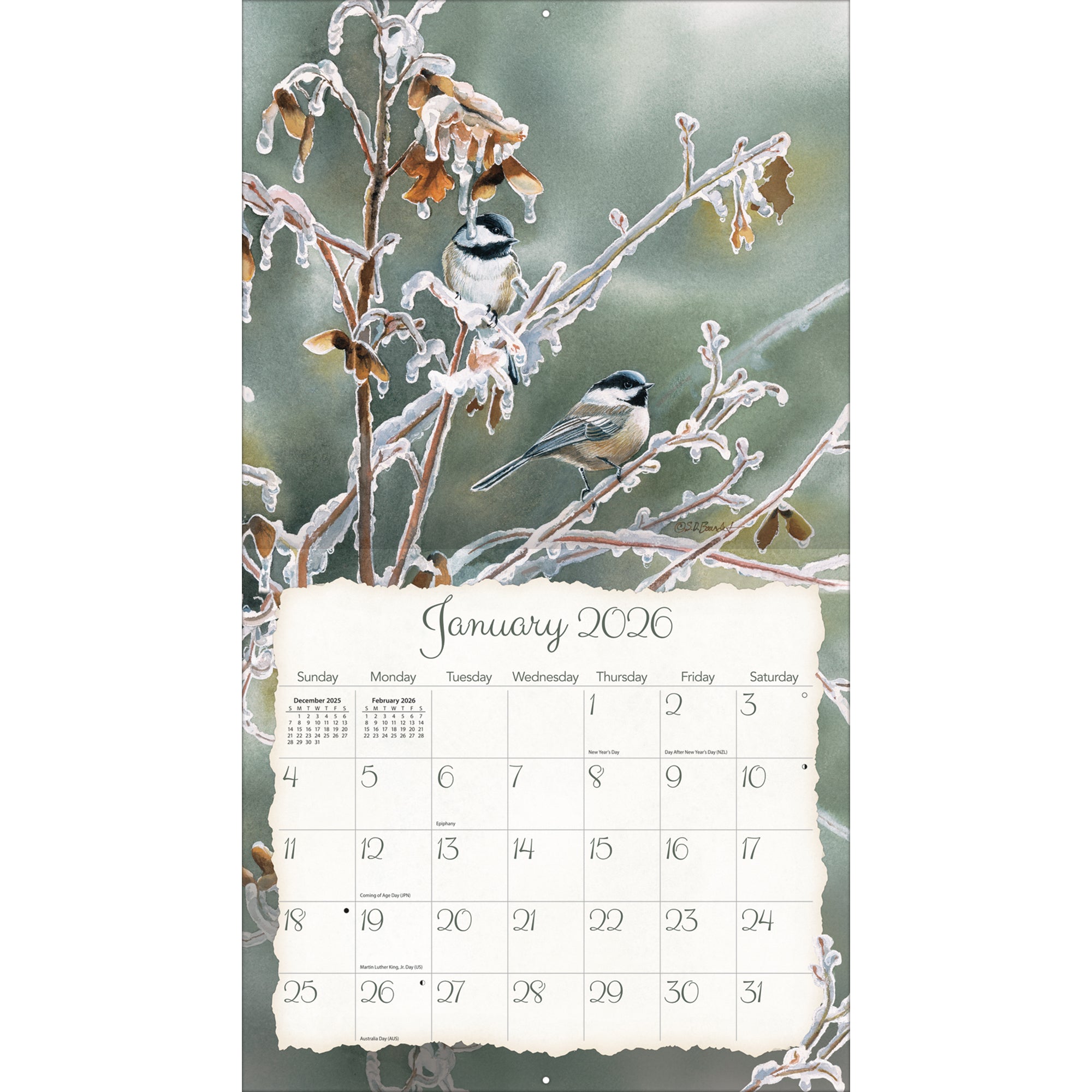 2026 LANG Songbirds - Deluxe Wall Calendar