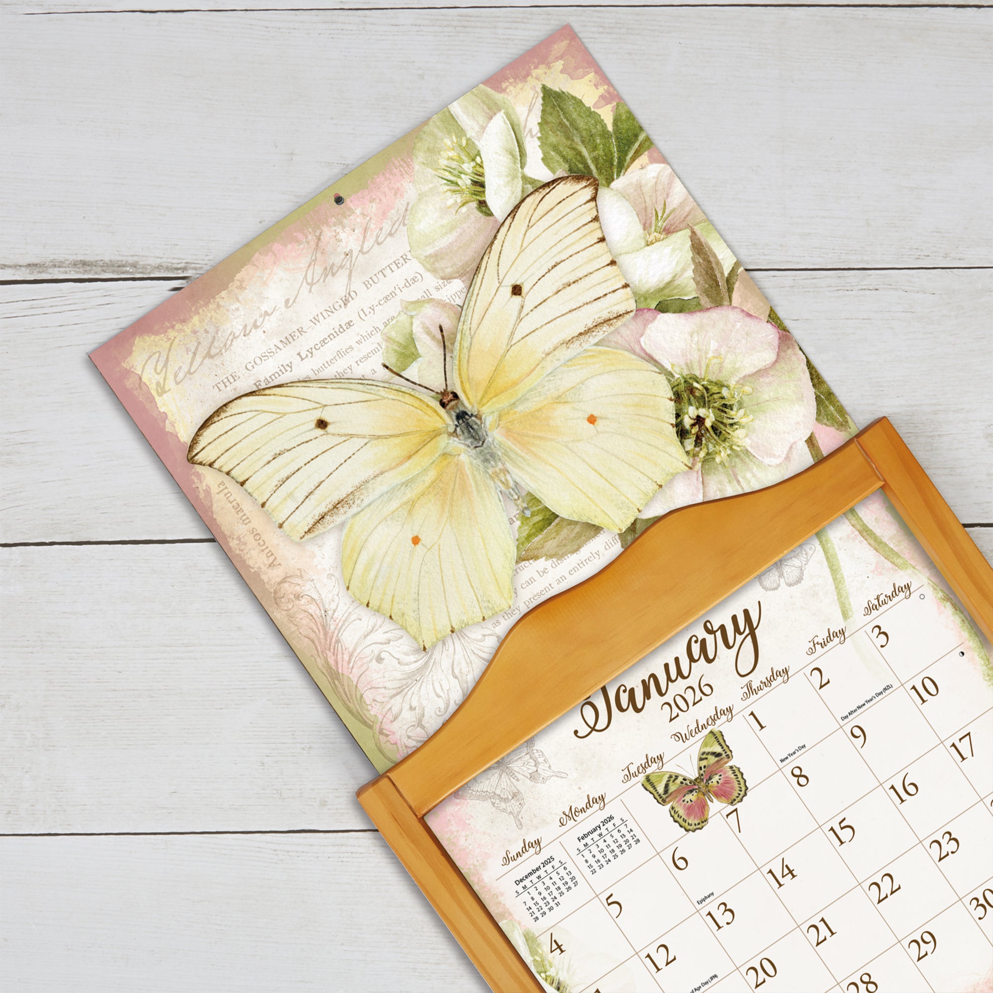 2026 LANG Butterflies - Deluxe Wall Calendar