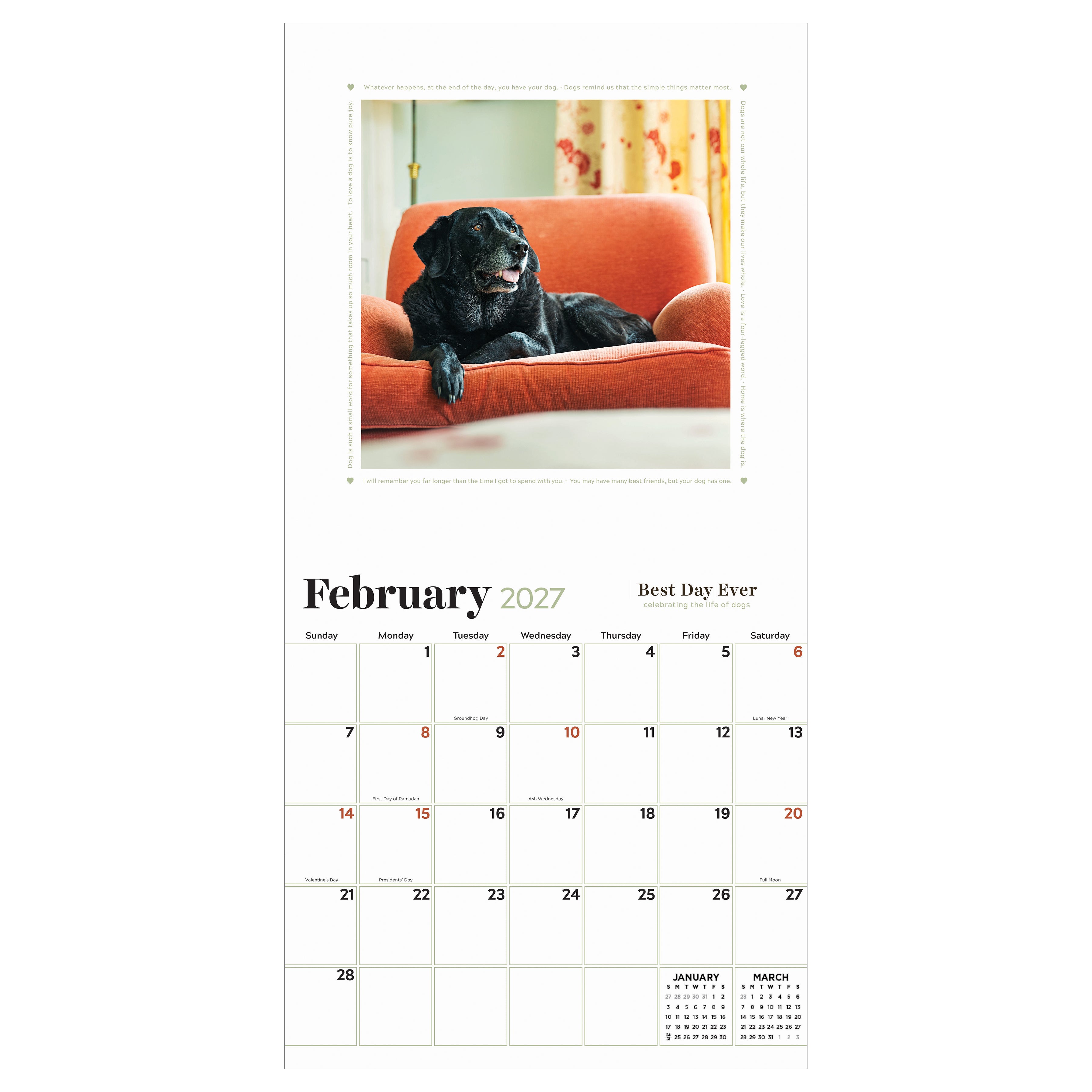 2027 Best Day Ever: Celebrating The Life of Dogs - Square Wall Calendar