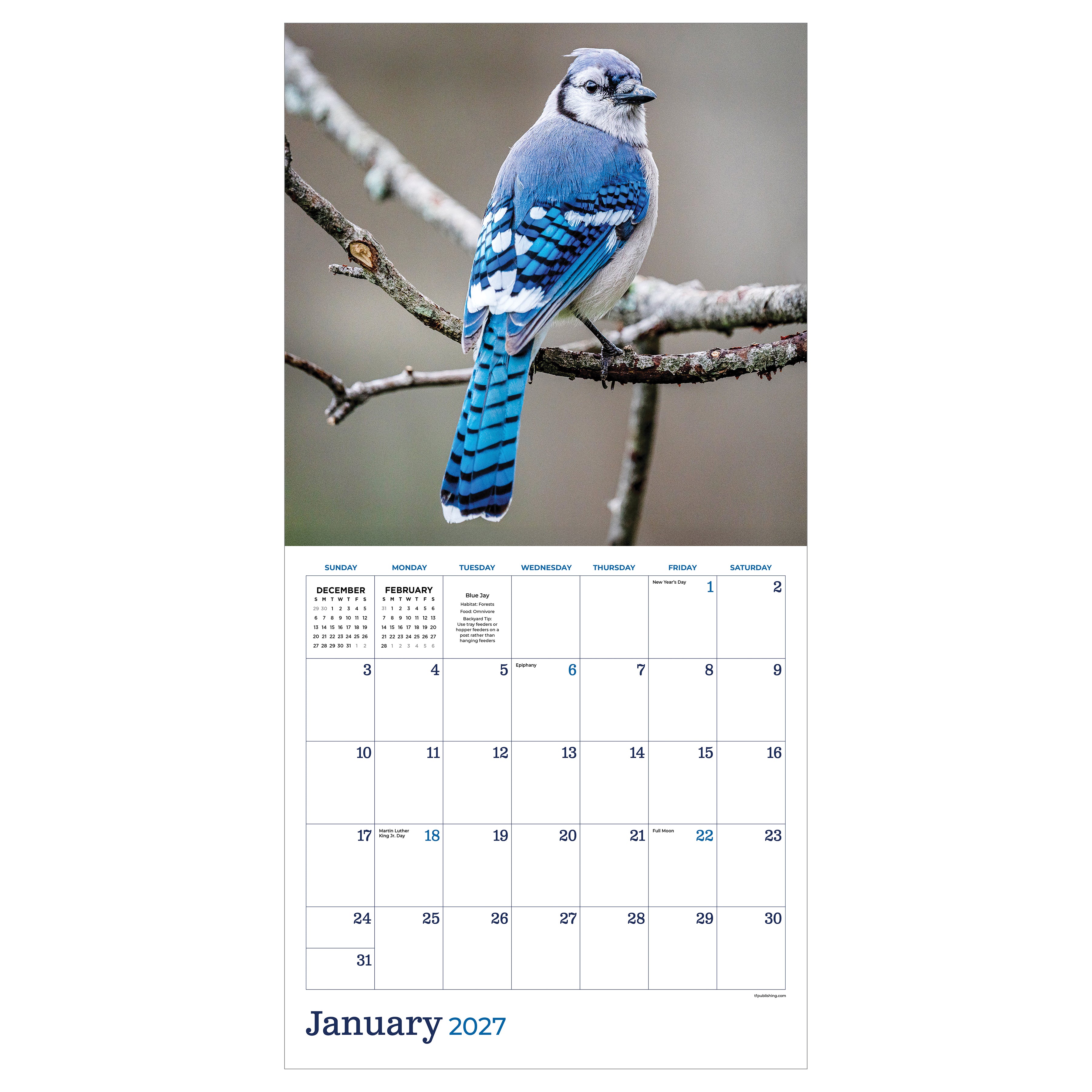 2027 Backyard Birds - Square Wall Calendar