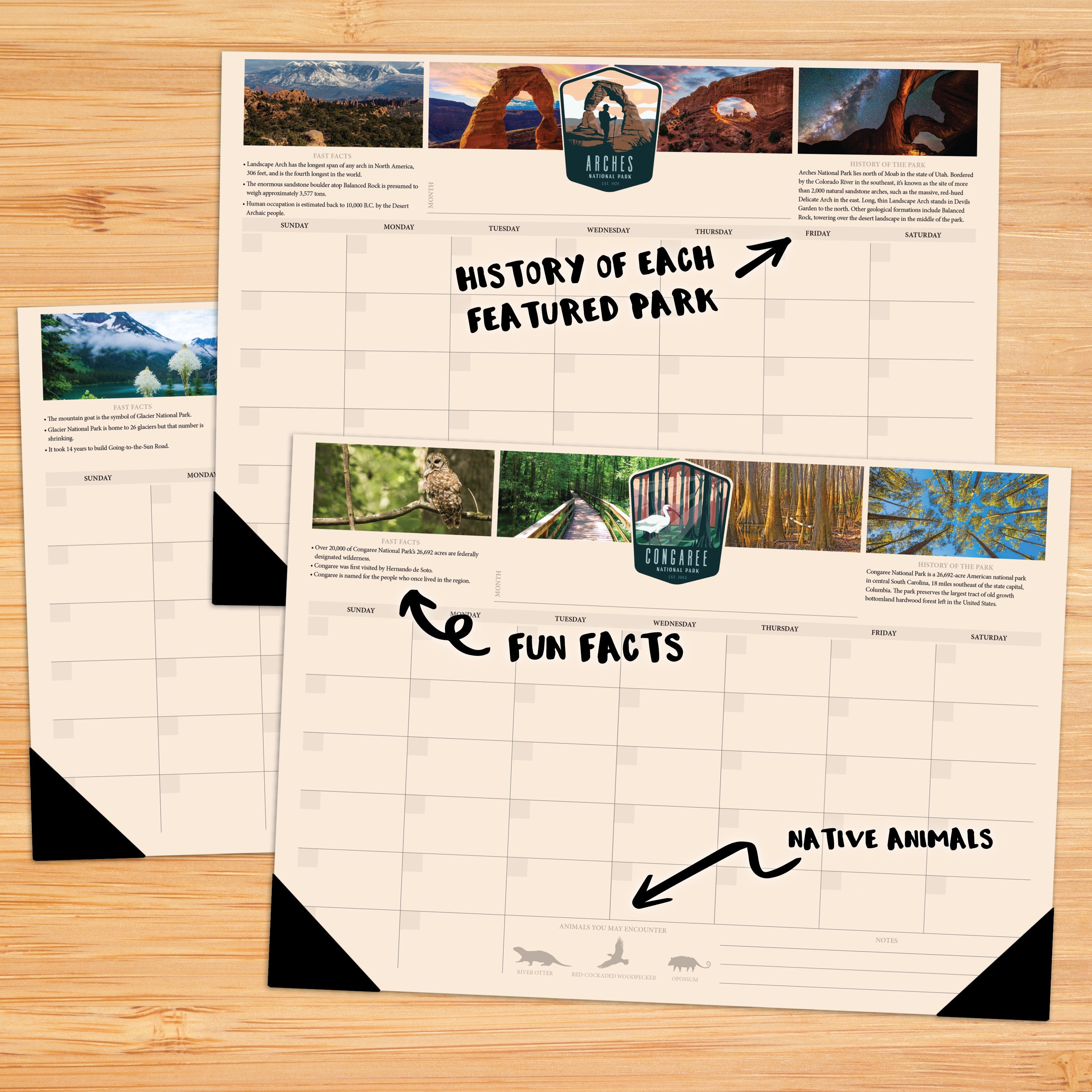 Undated National Park - Medium Monthly Desk Pad Calendar