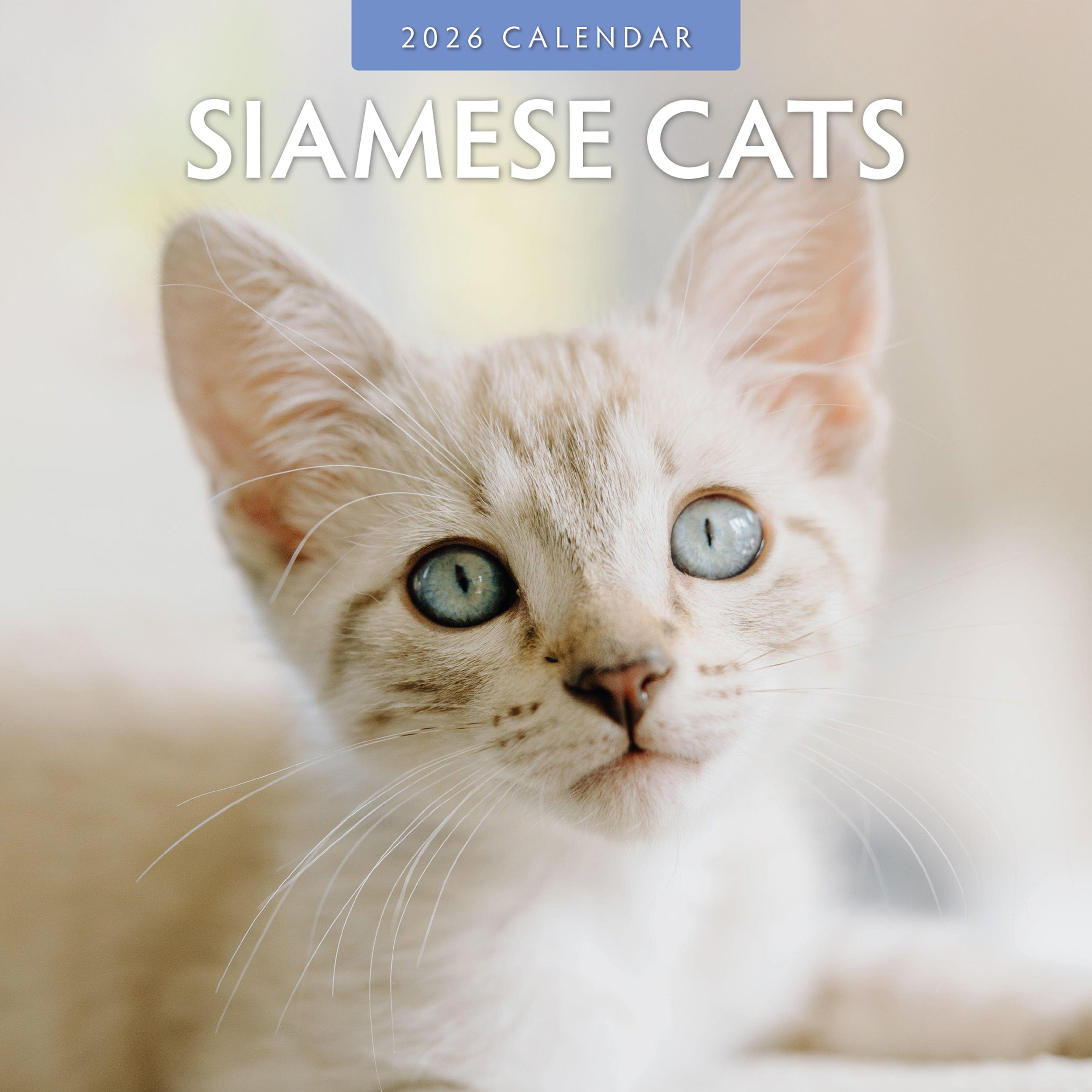 2026 Siamese Cats - Square Wall Calendar