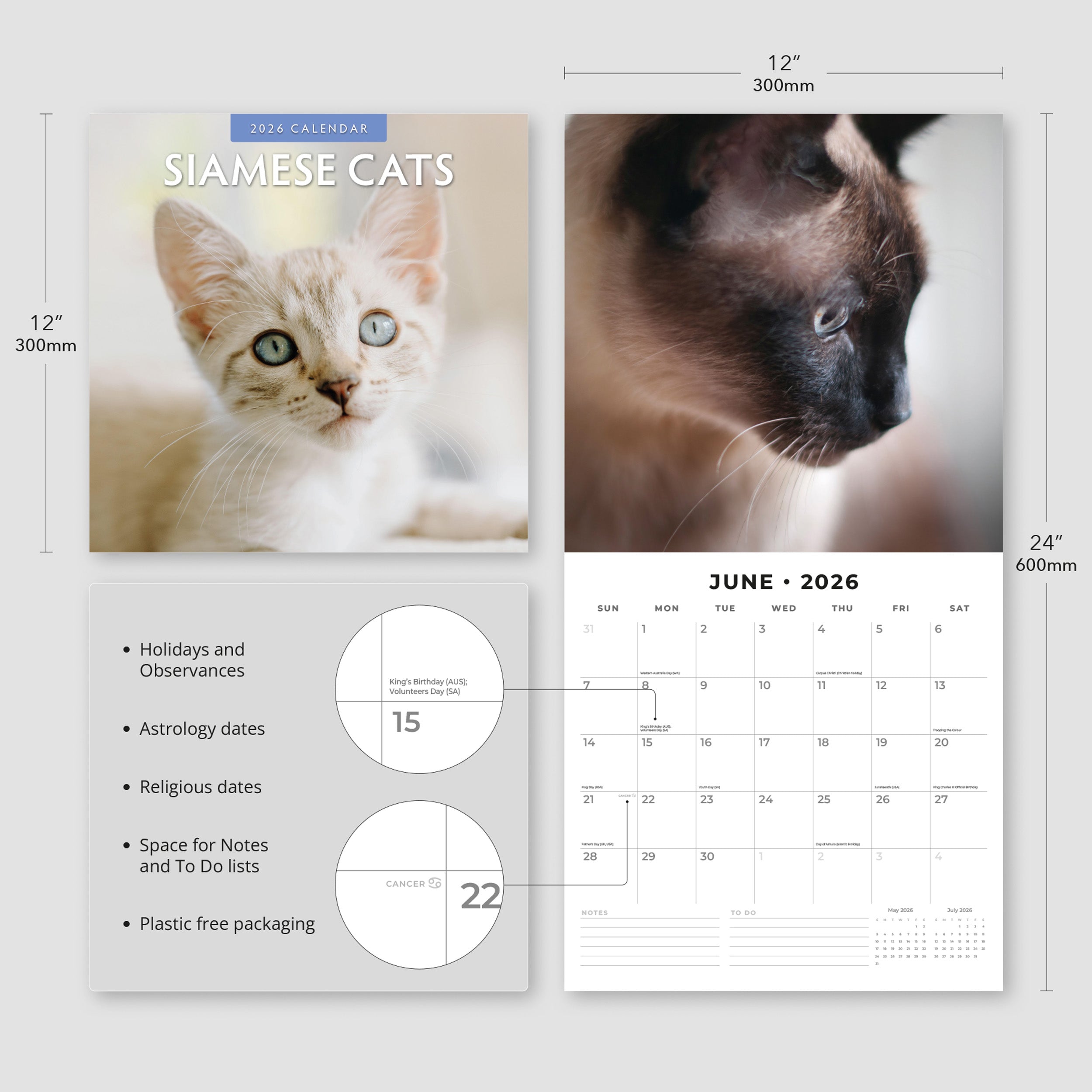 2026 Siamese Cats - Square Wall Calendar