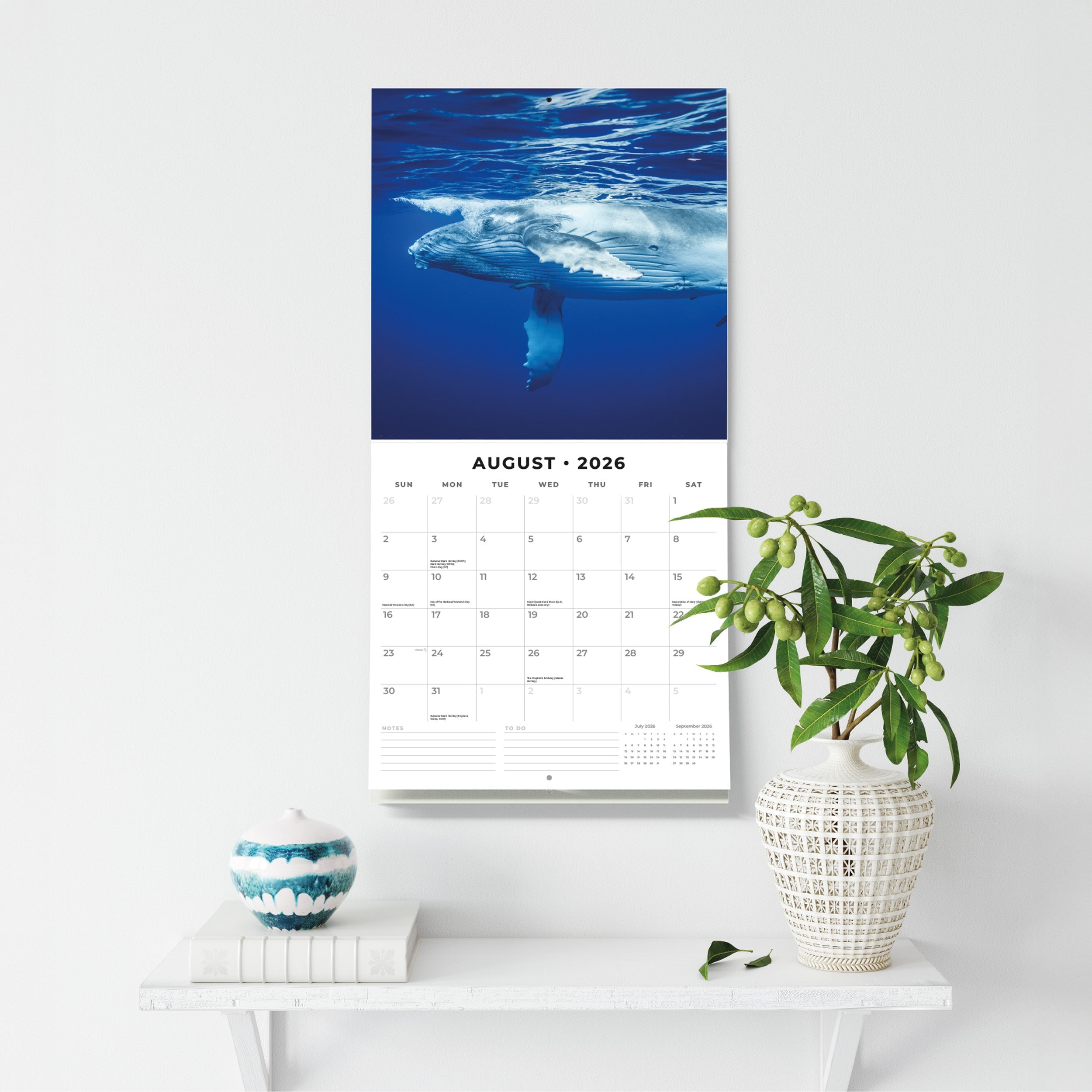 2026 Whales - Square Wall Calendar