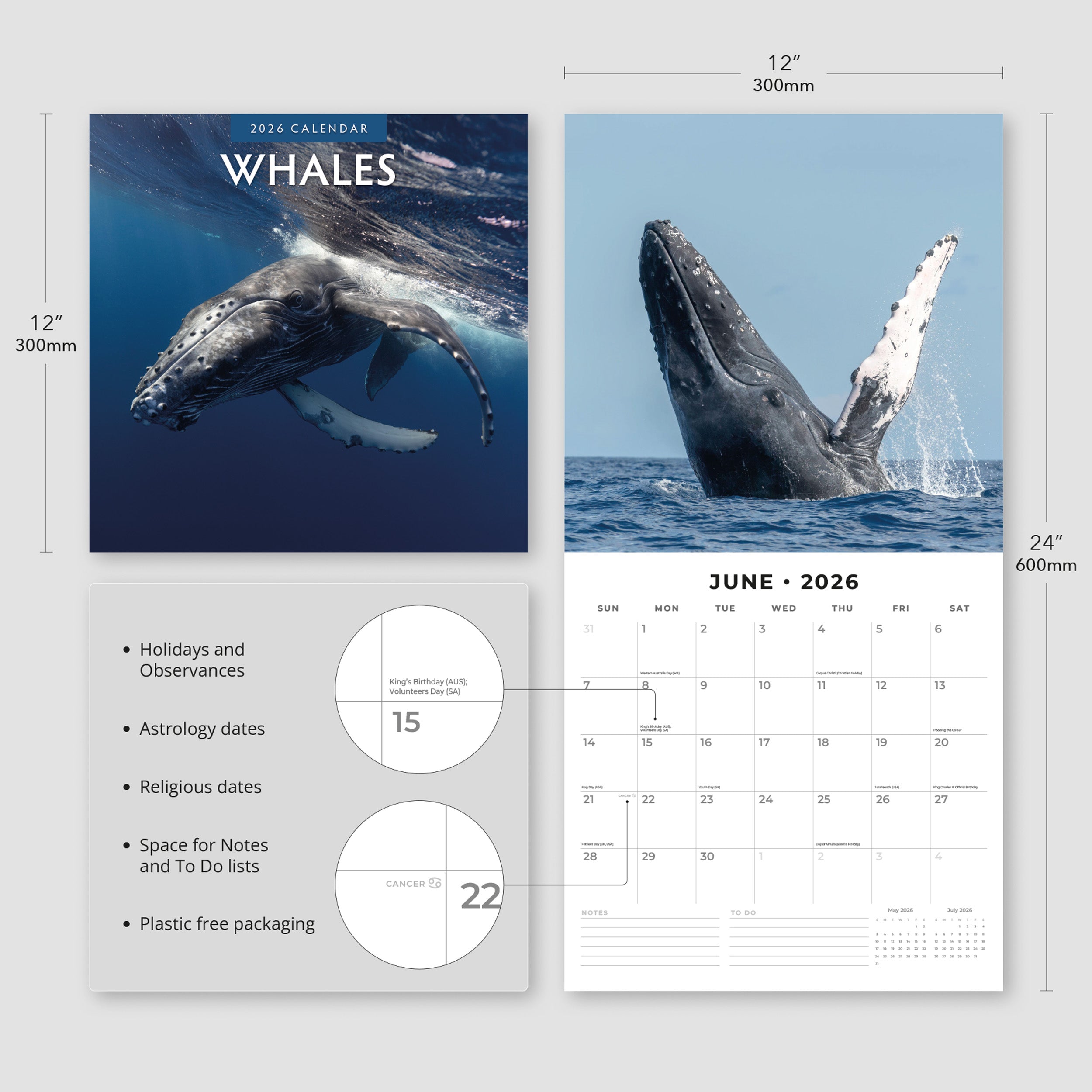 2026 Whales - Square Wall Calendar