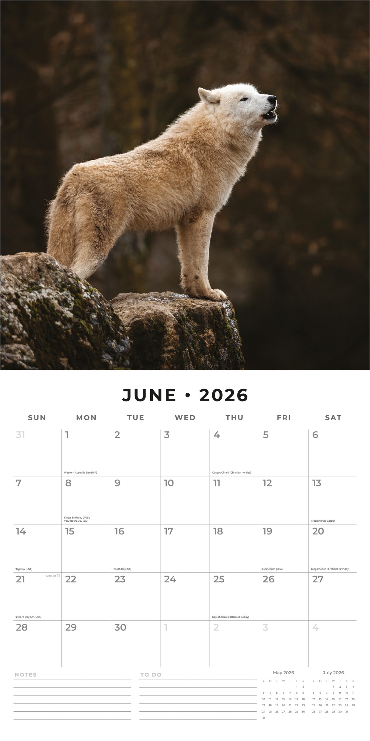 2026 Wolves - Square Wall Calendar