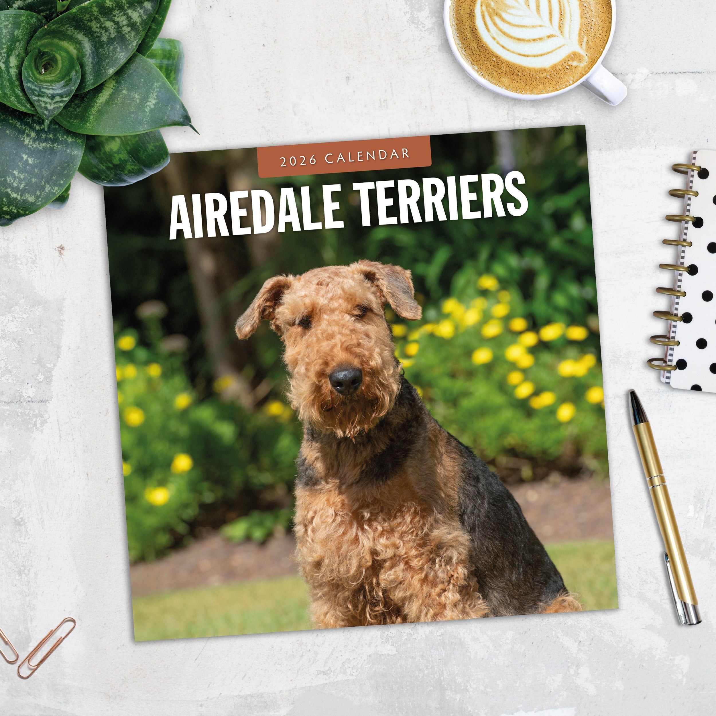 2026 Airedale Terriers - Square Wall Calendar