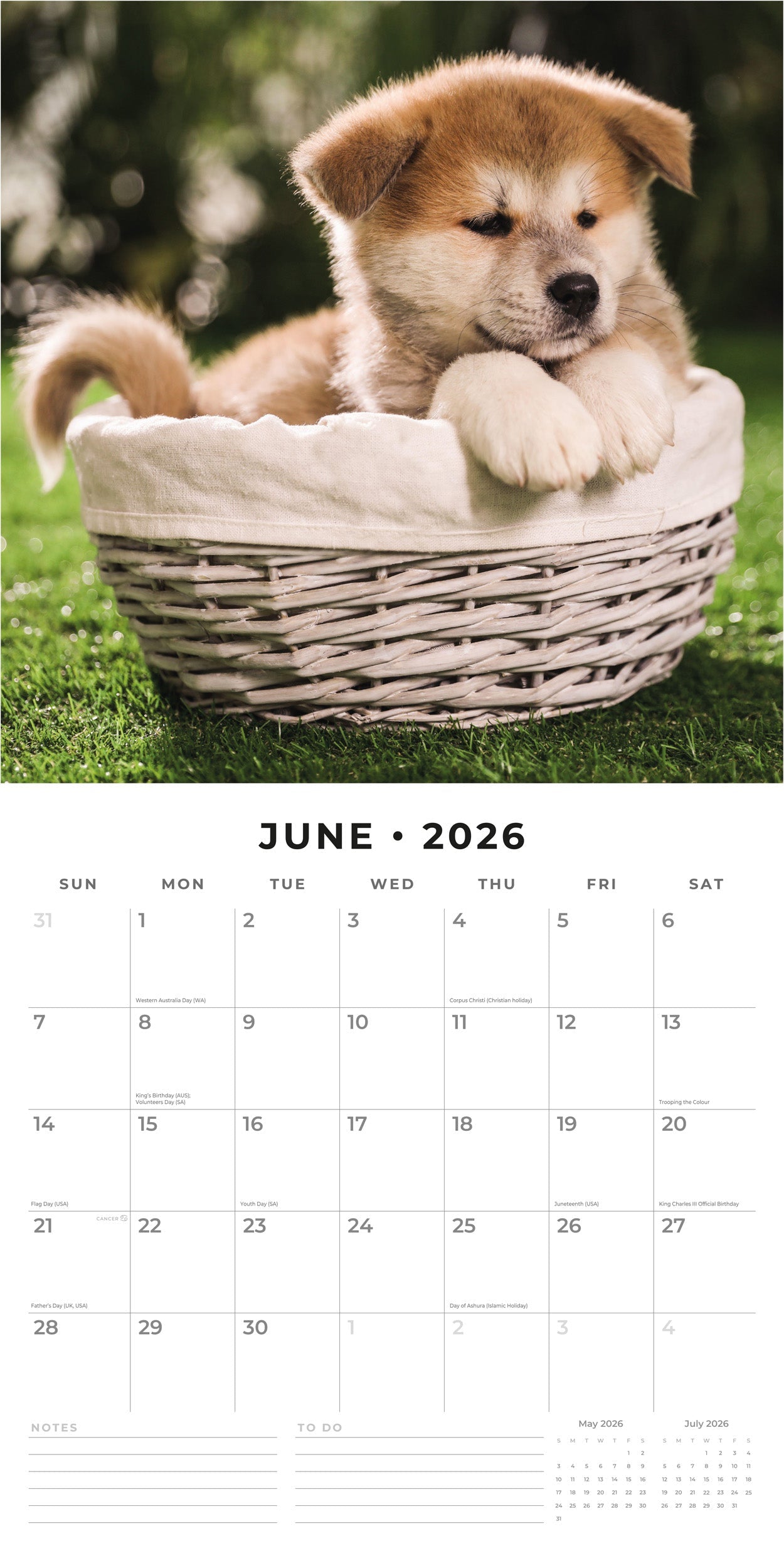 2026 Akitas - Square Wall Calendar