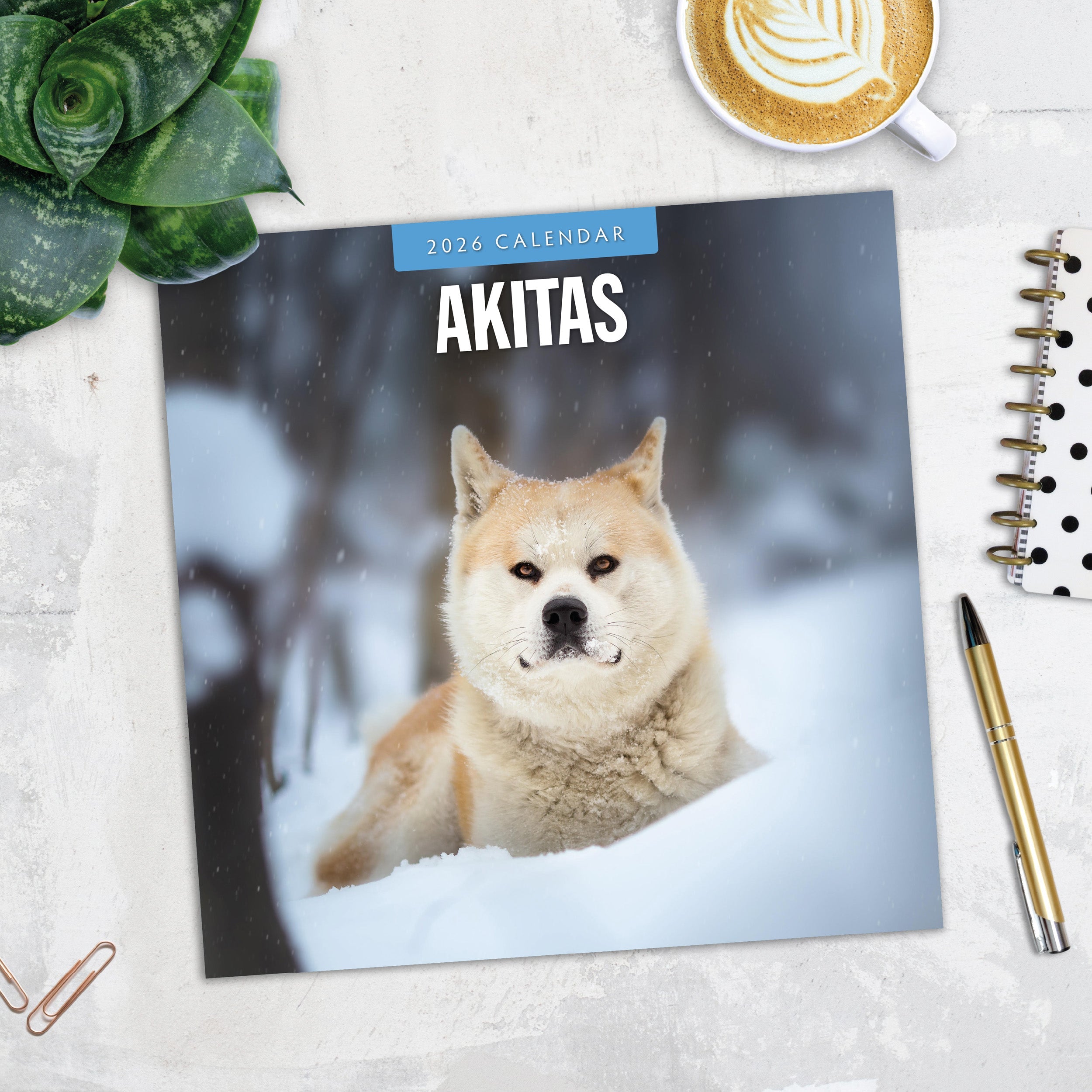 2026 Akitas - Square Wall Calendar