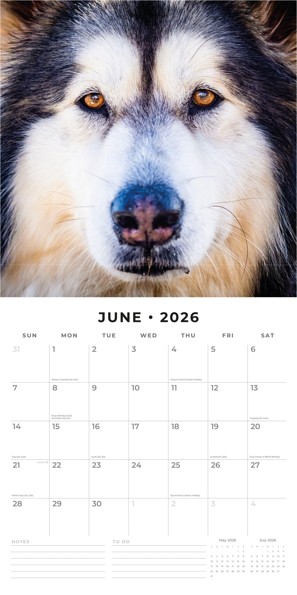 2026 Alaskan Malamutes - Square Wall Calendar