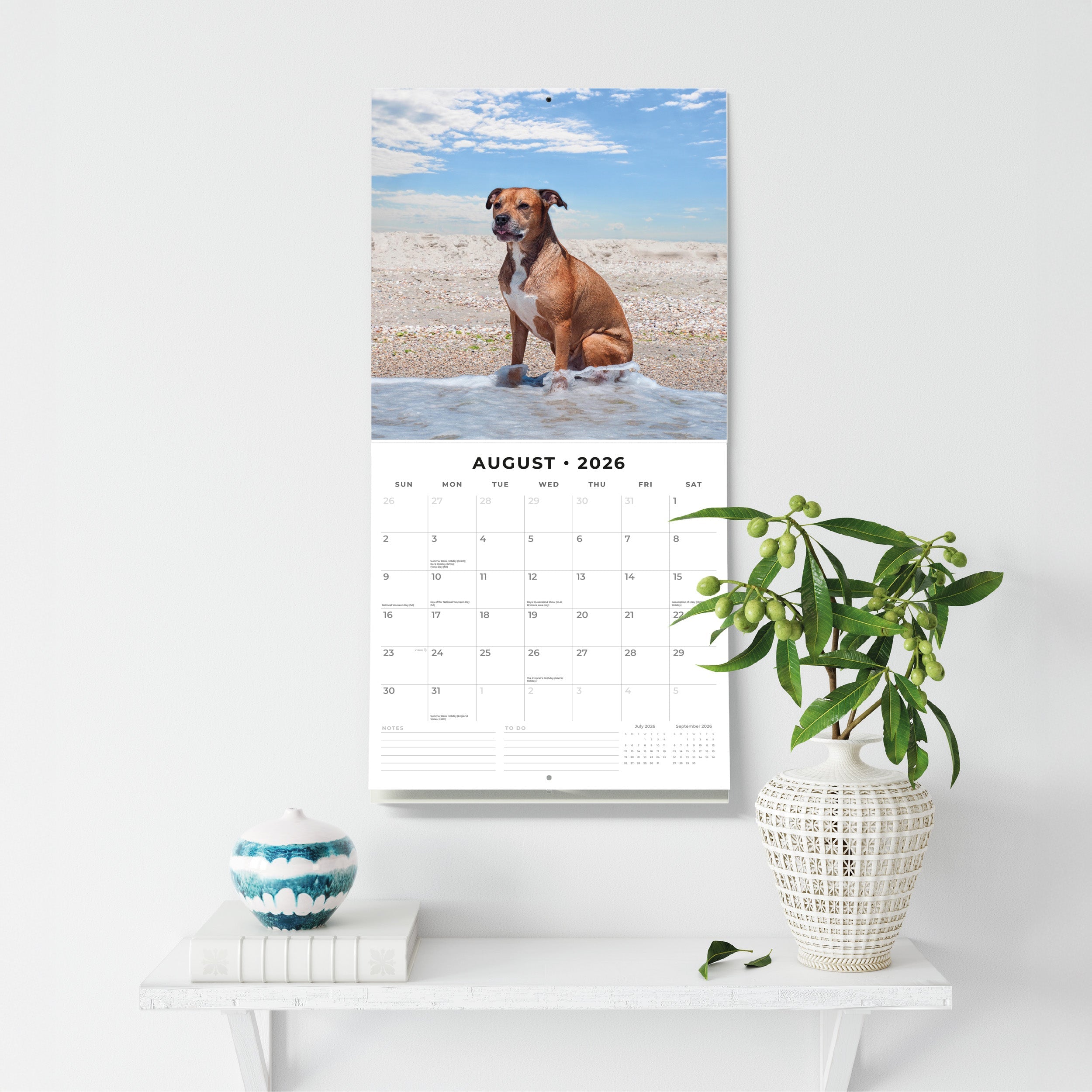 2026 American Pit Bull Terriers - Square Wall Calendar