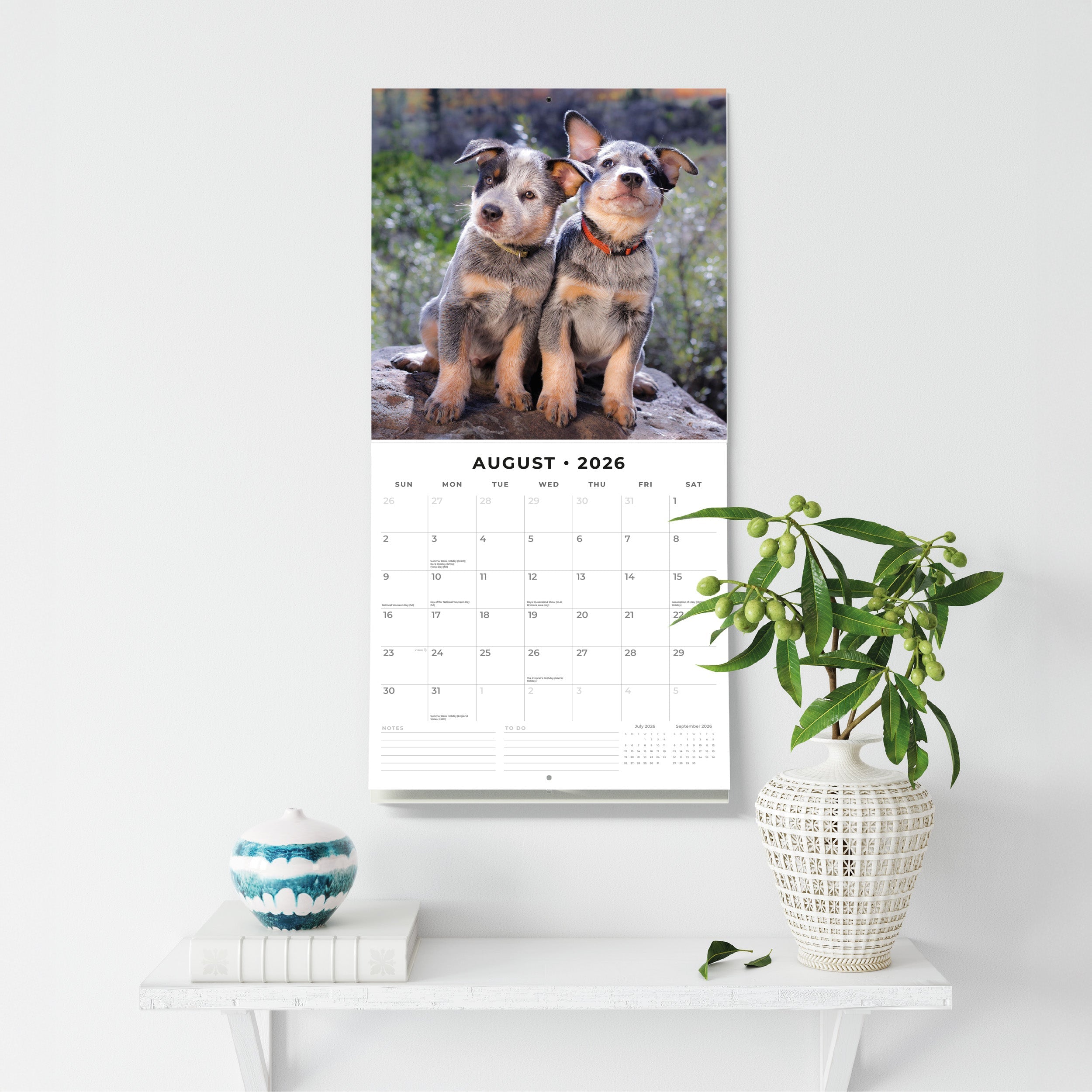2026 Australian Cattle Dogs - Square Wall Calendar