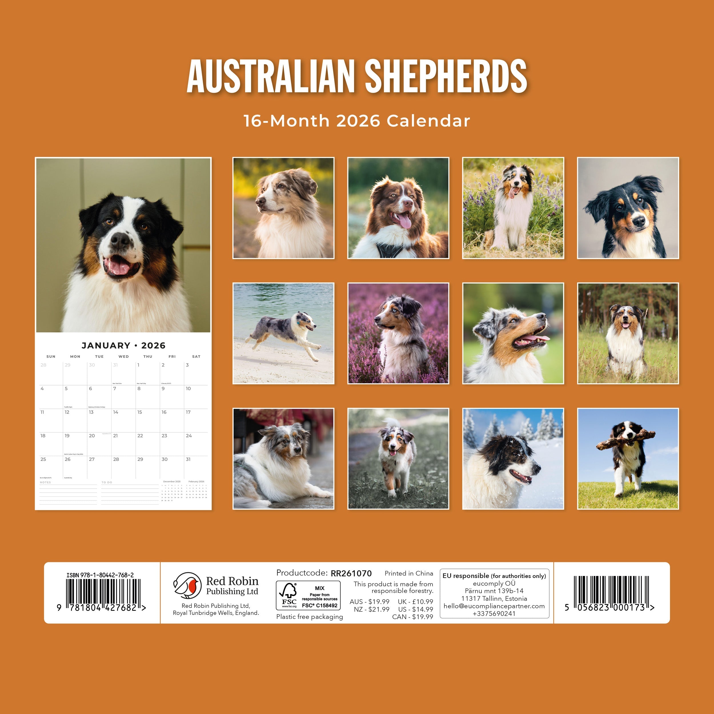 2026 Australian Shepherds - Square Wall Calendar