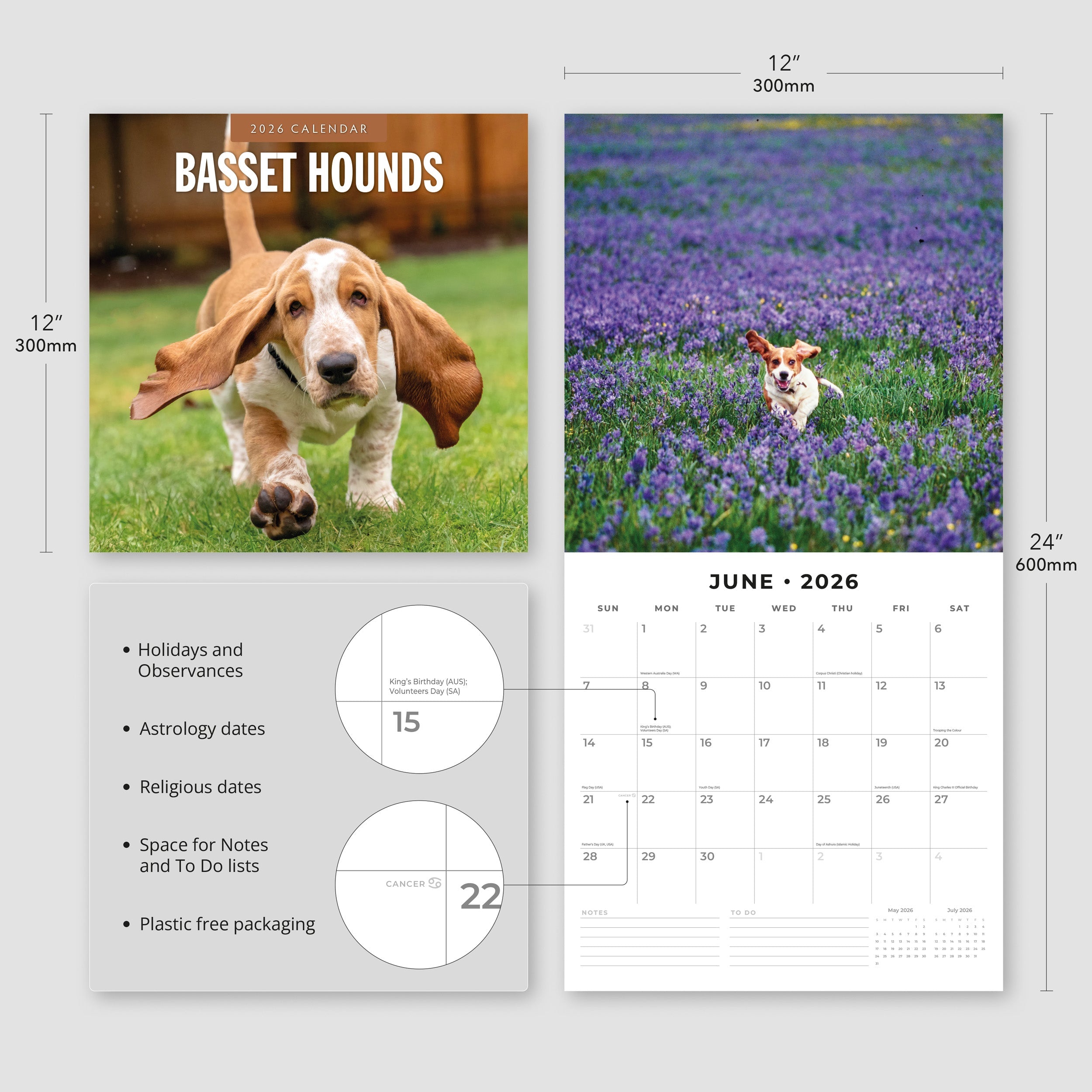 2026 Basset Hounds - Square Wall Calendar