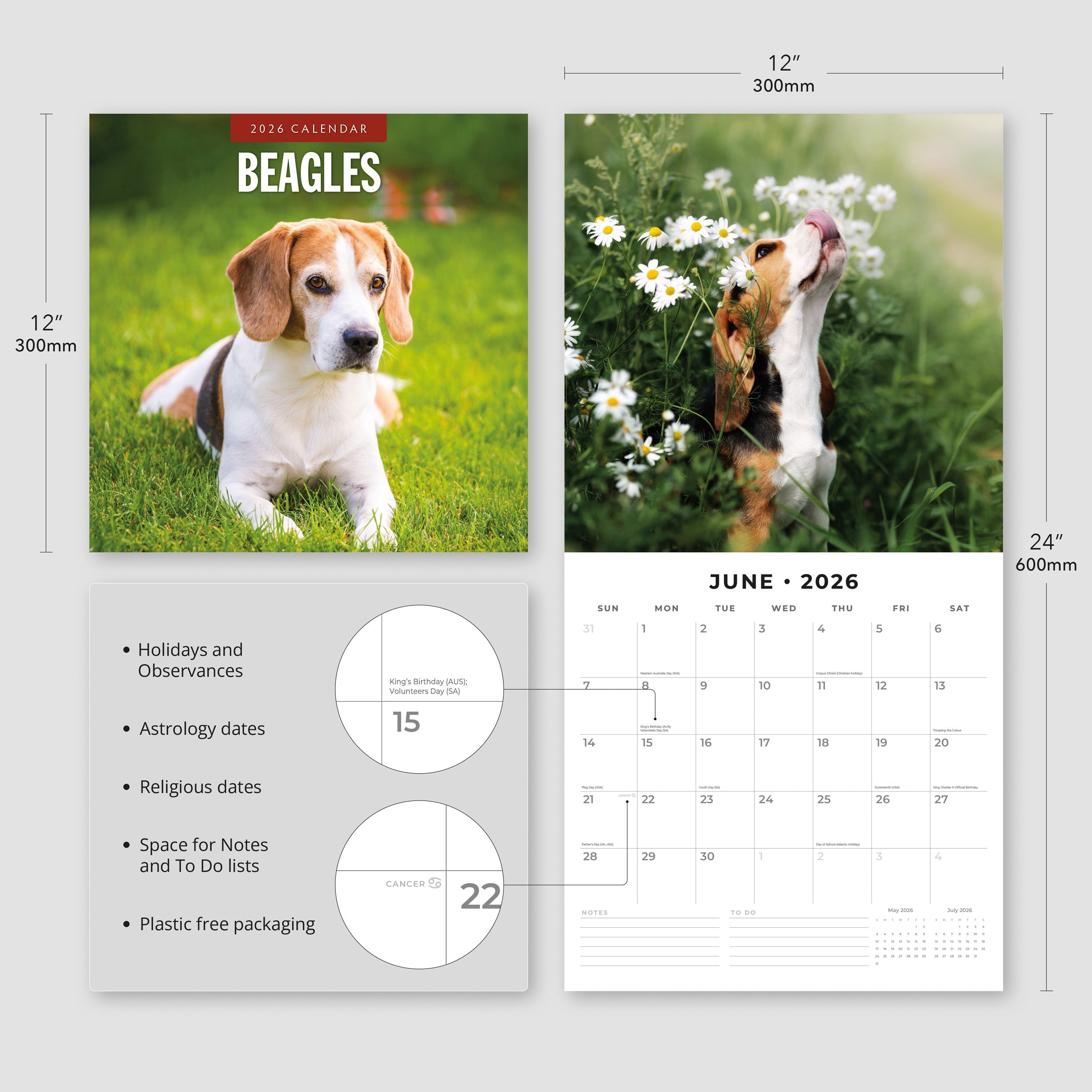 2026 Beagles - Square Wall Calendar