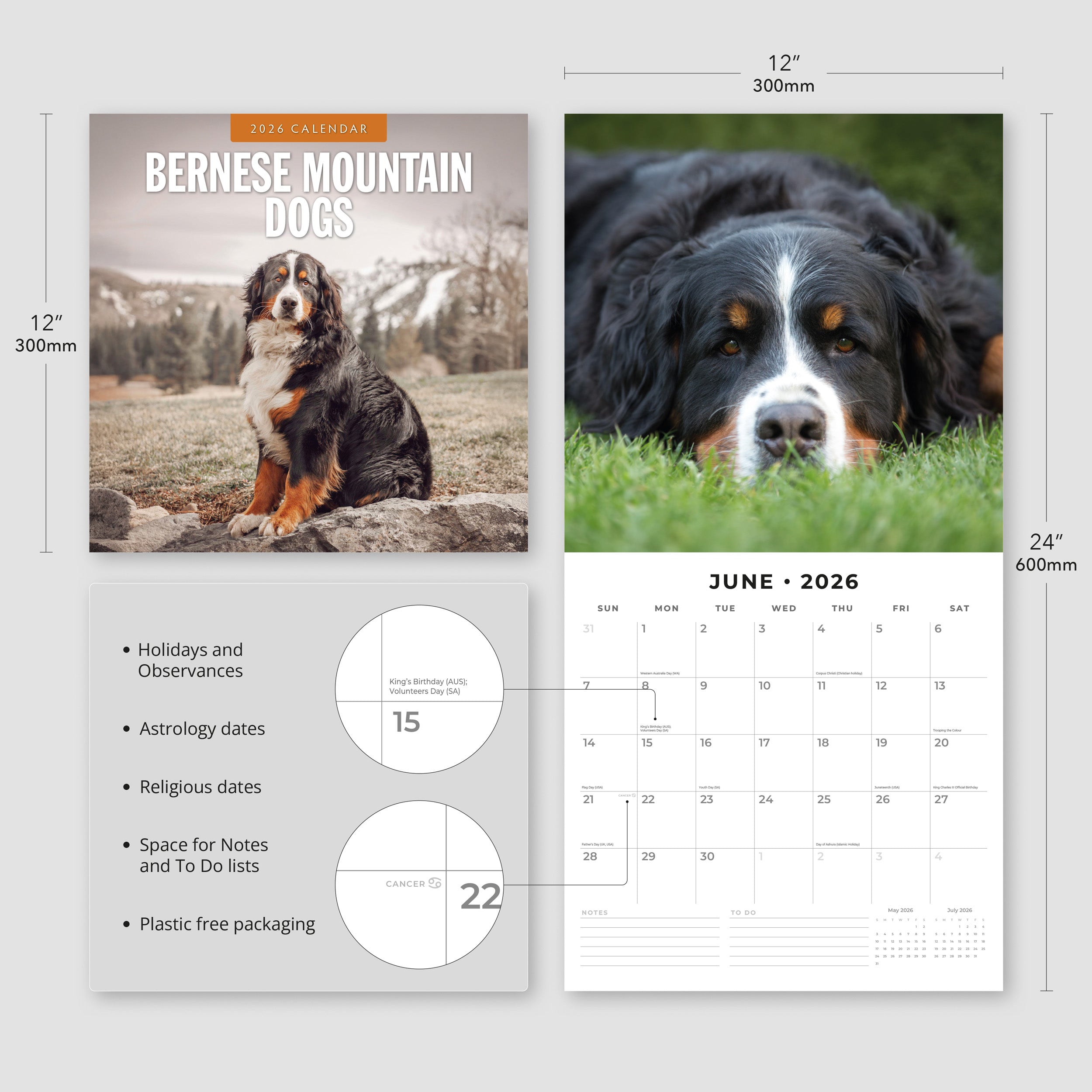 2026 Bernese Mountain Dogs - Square Wall Calendar