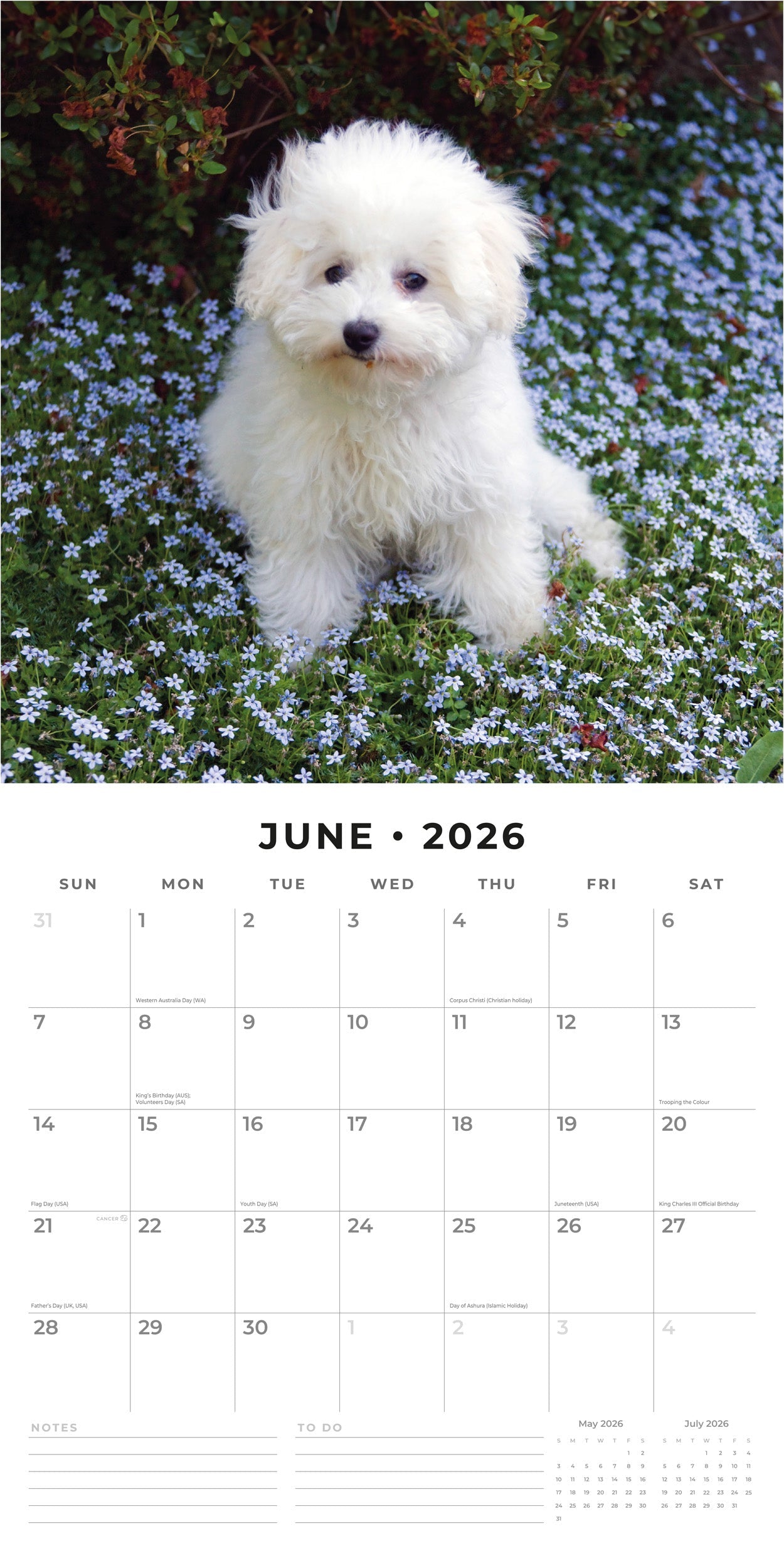 2026 Bichons Frises - Square Wall Calendar