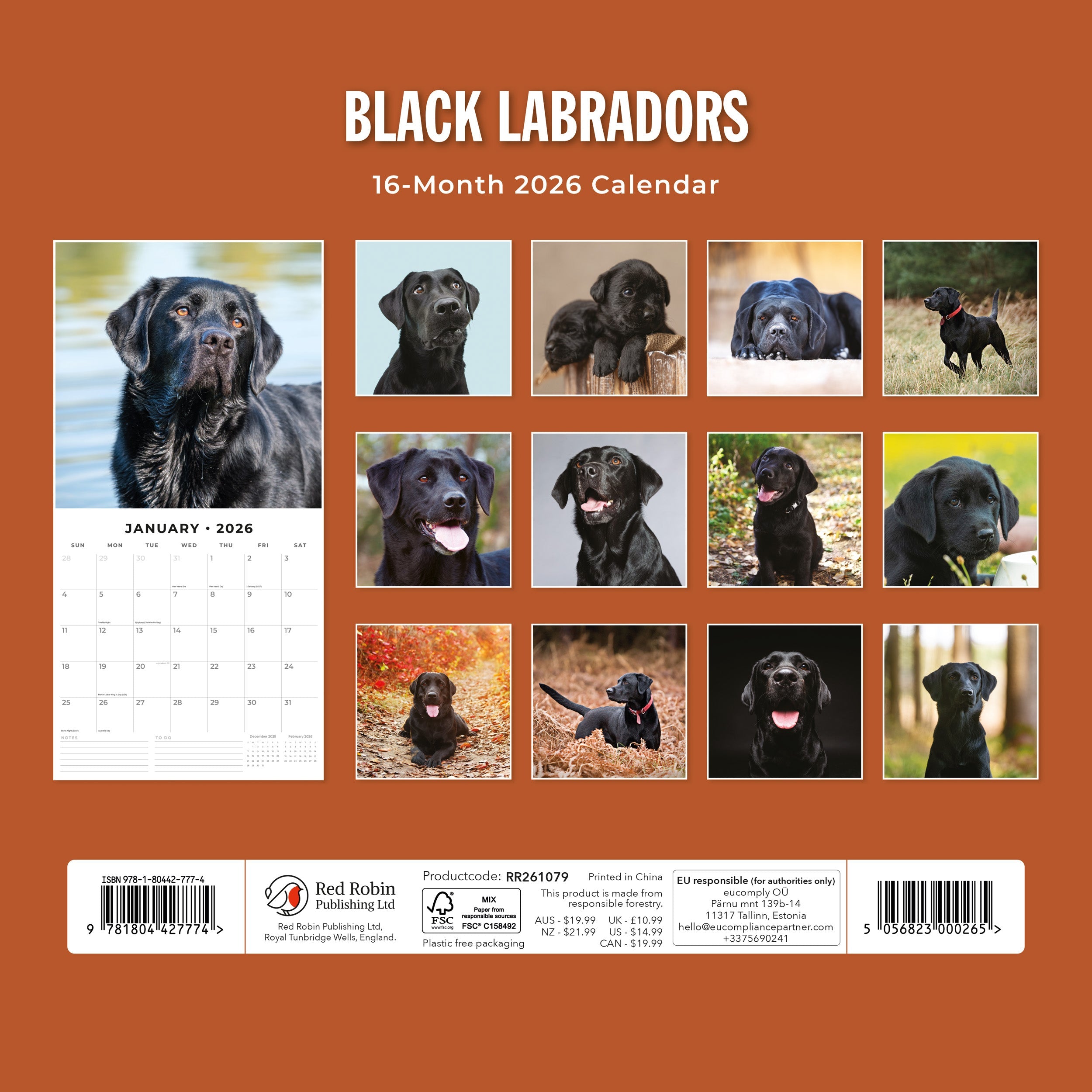 2026 Black Labradors - Square Wall Calendar