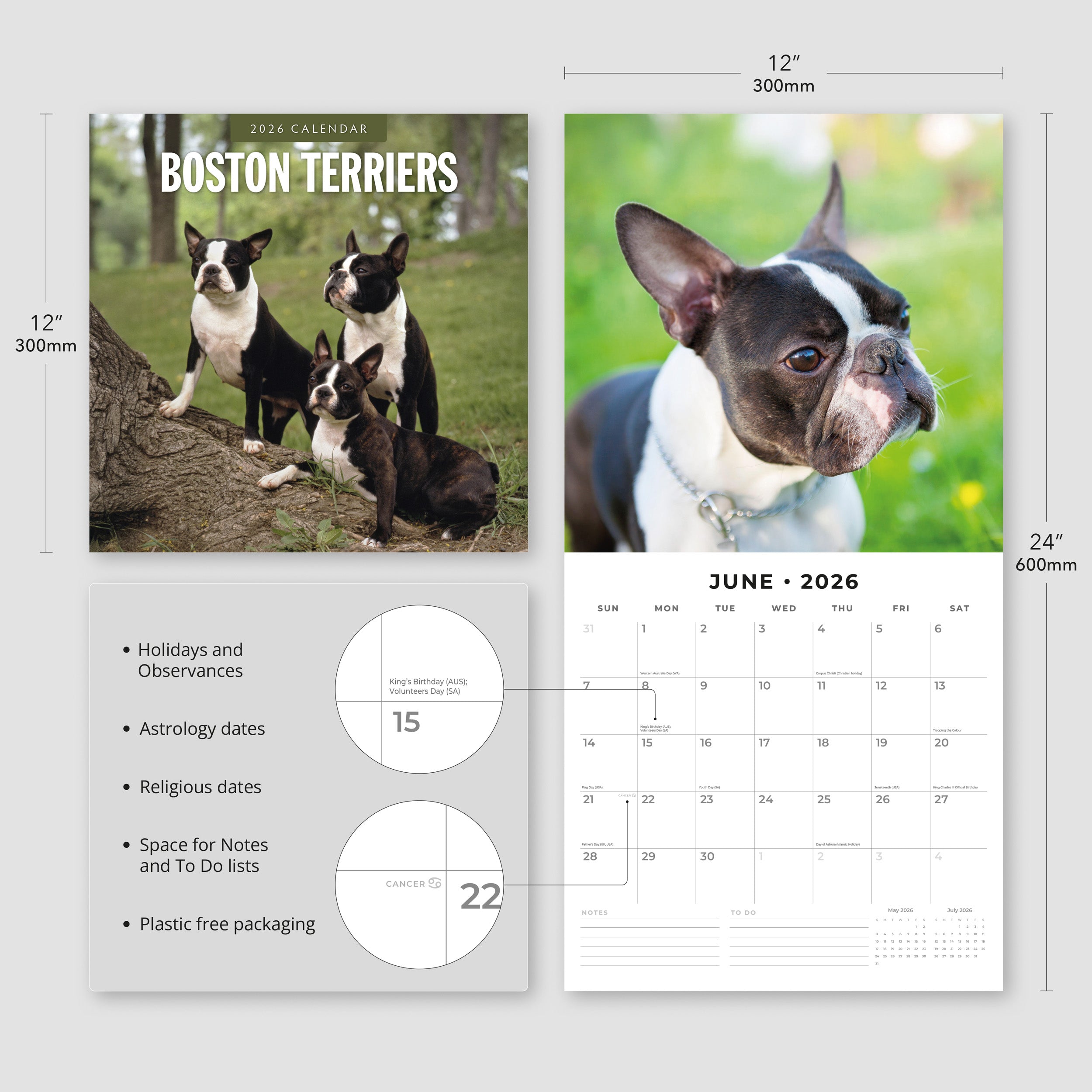 2026 Boston Terriers - Square Wall Calendar