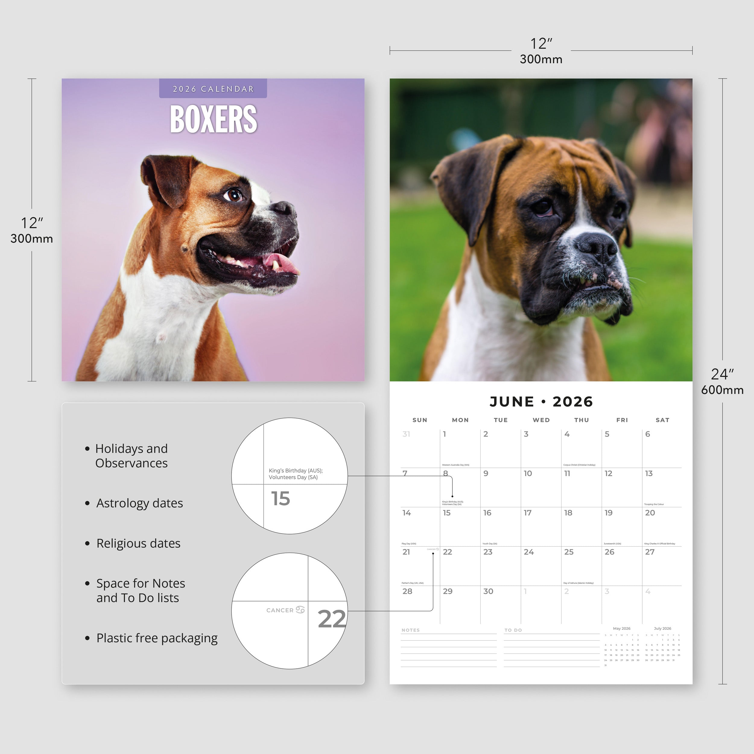 2026 Boxers - Square Wall Calendar