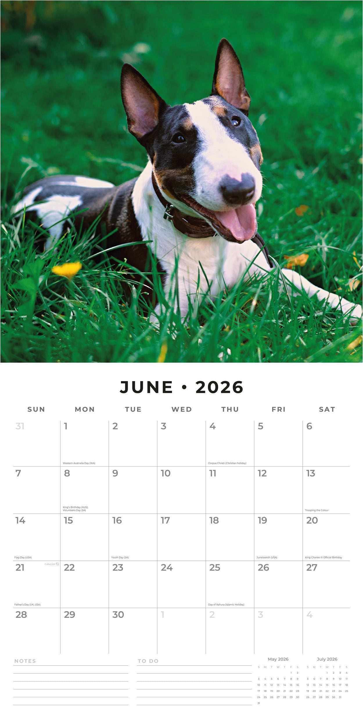 2026 Bull Terriers - Square Wall Calendar