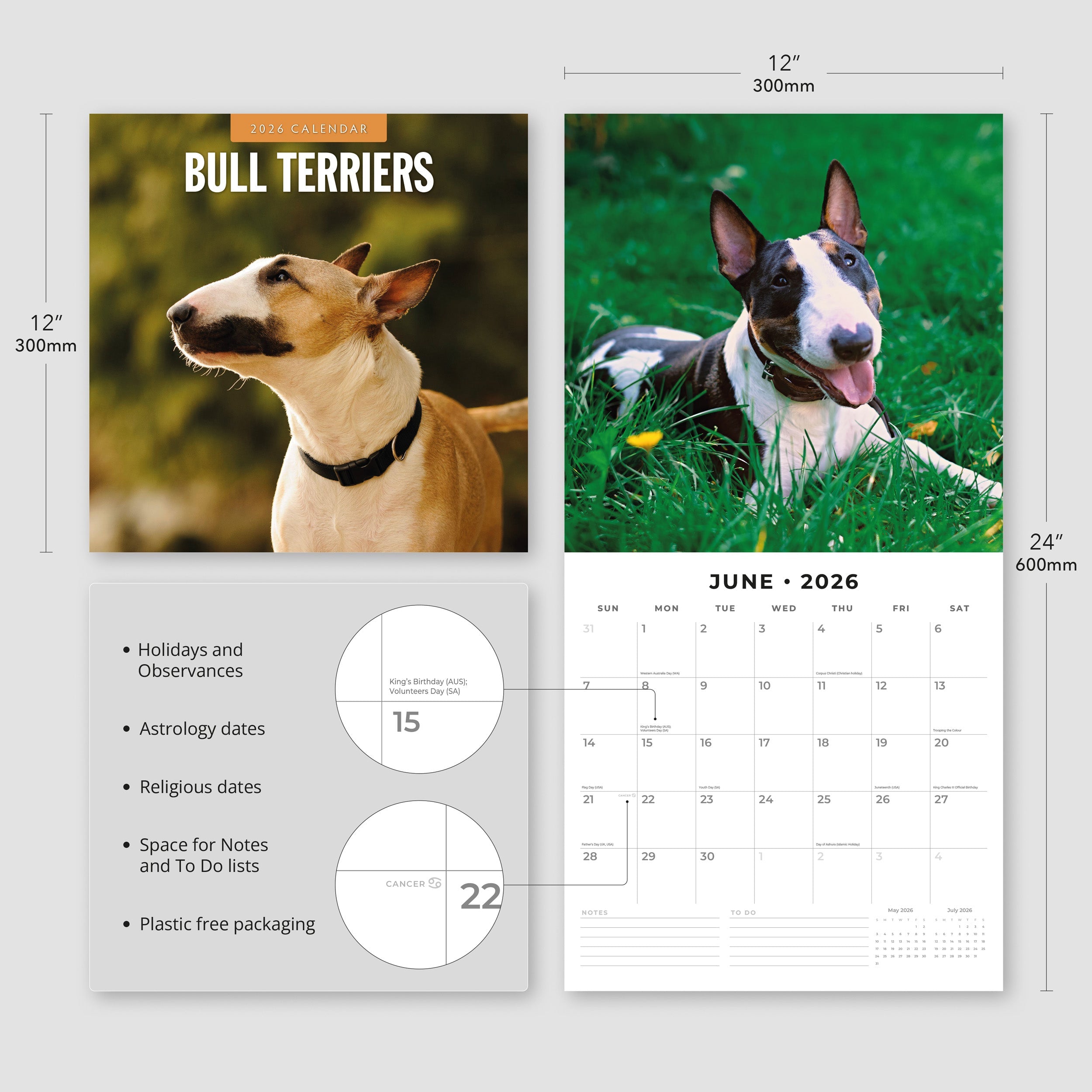 2026 Bull Terriers - Square Wall Calendar