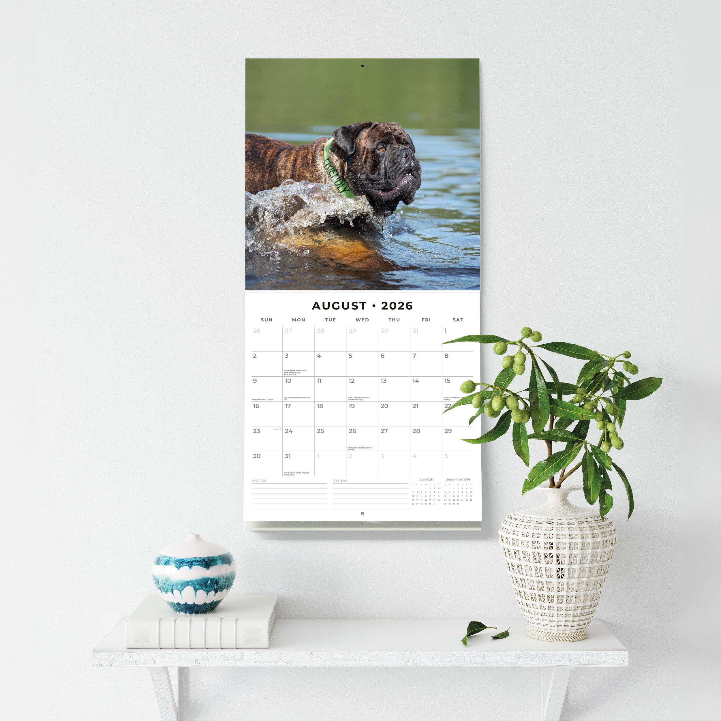 2026 Bullmastiffs - Square Wall Calendar