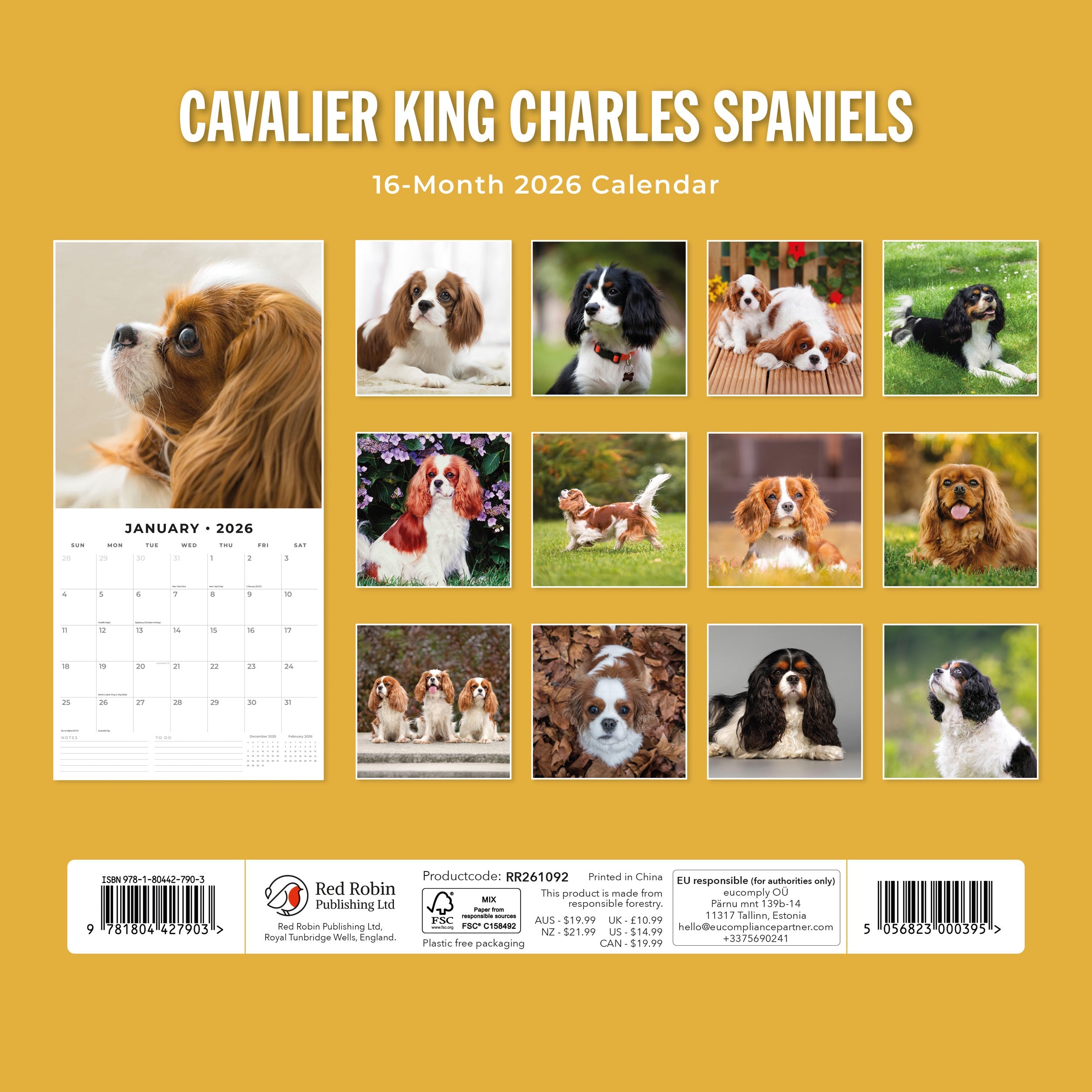 2026 Cavalier King Charles Spaniels - Square Wall Calendar