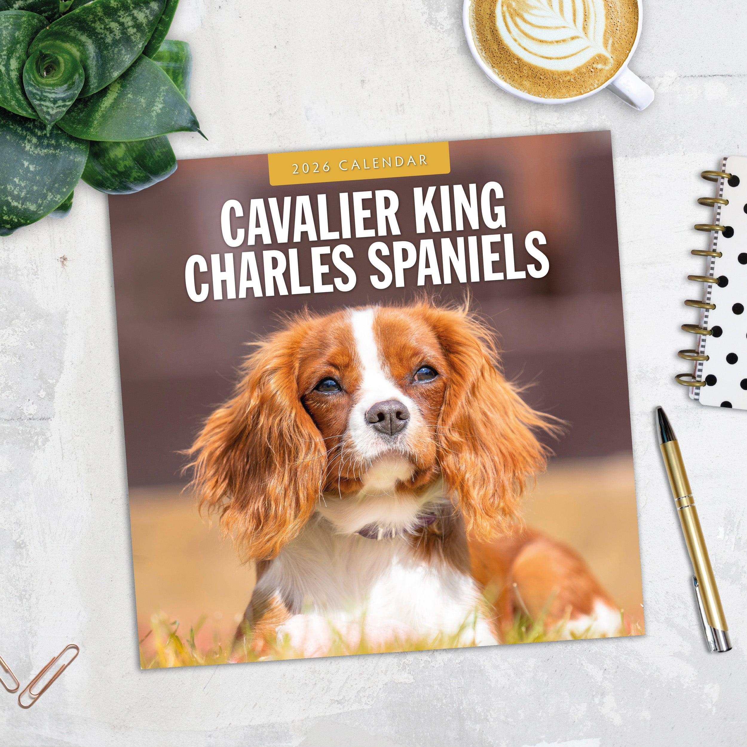 2026 Cavalier King Charles Spaniels - Square Wall Calendar