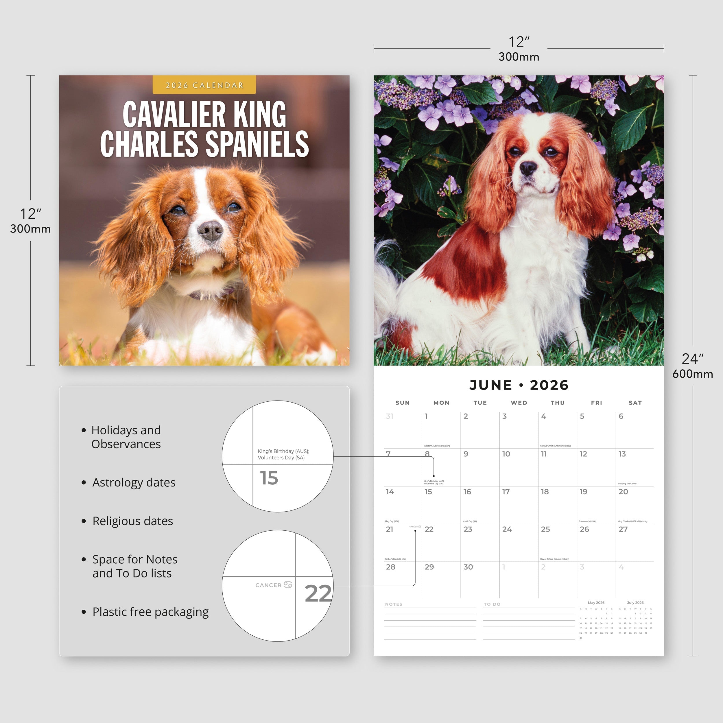 2026 Cavalier King Charles Spaniels - Square Wall Calendar