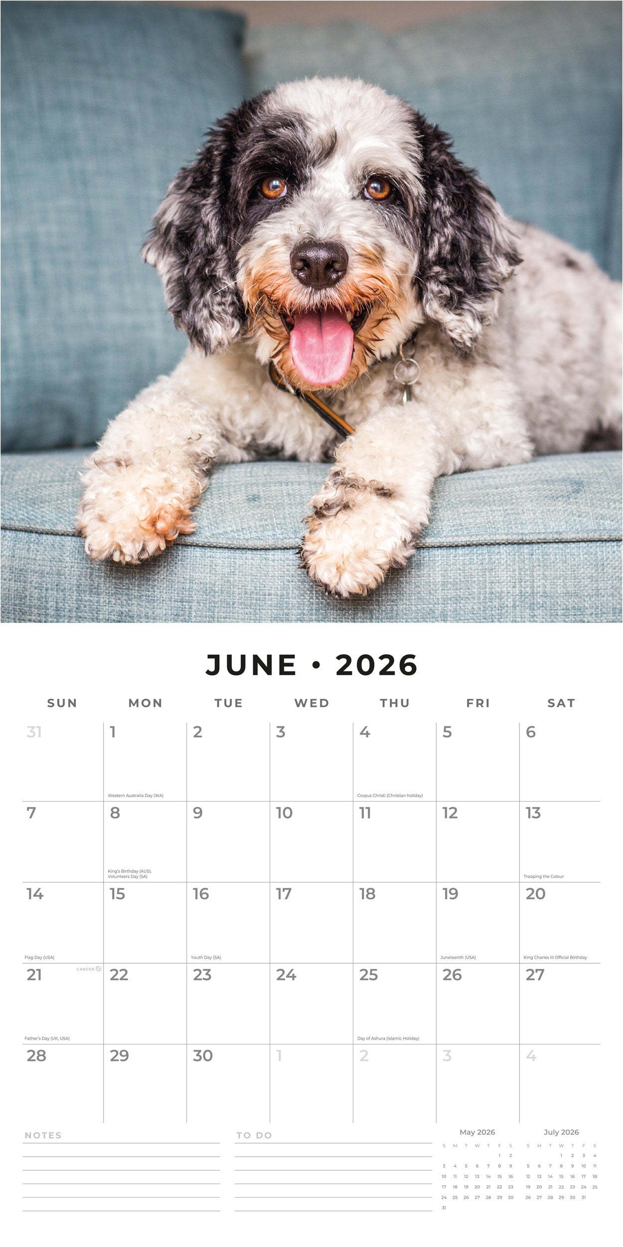 2026 Cockapoos - Square Wall Calendar