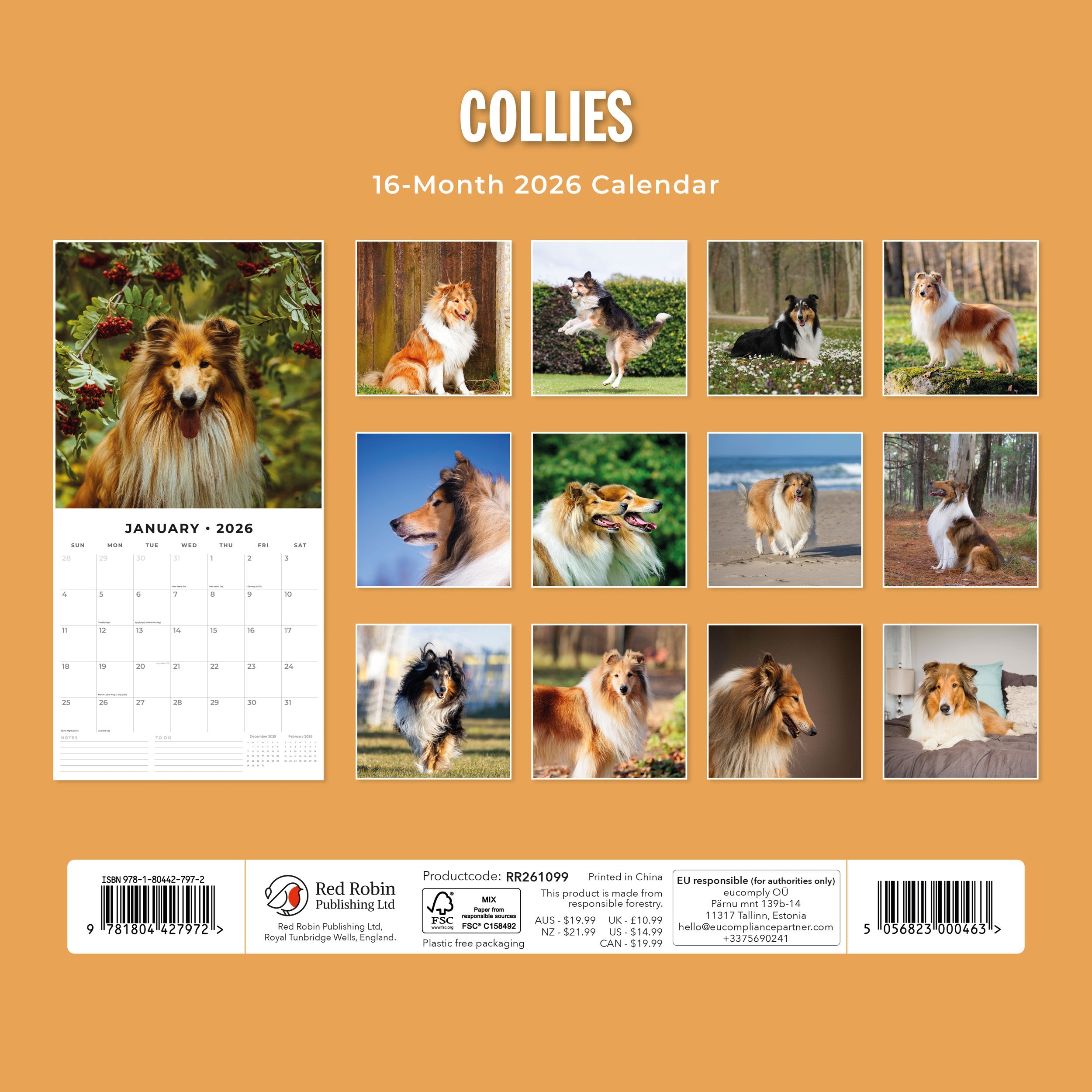2026 Collies - Square Wall Calendar