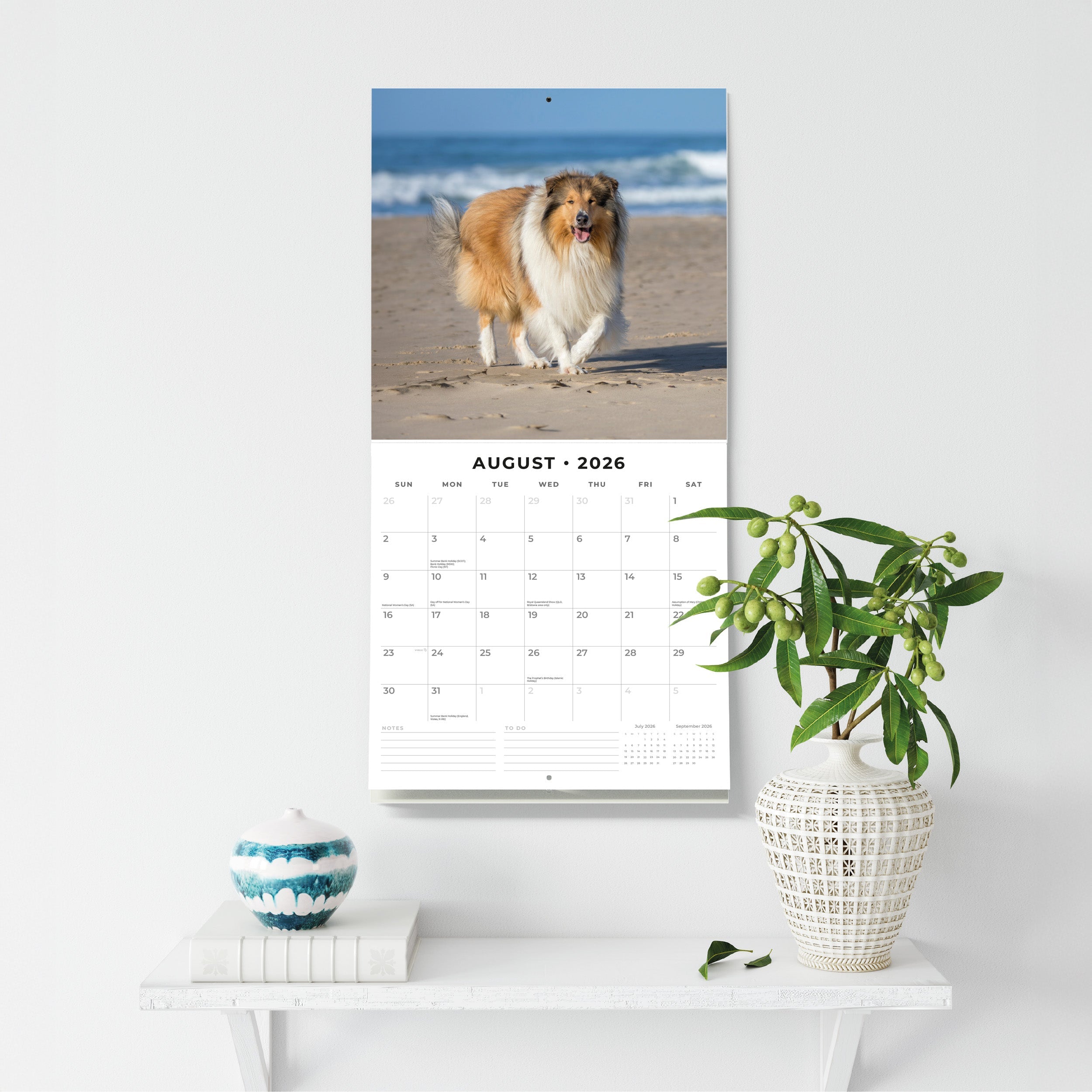 2026 Collies - Square Wall Calendar
