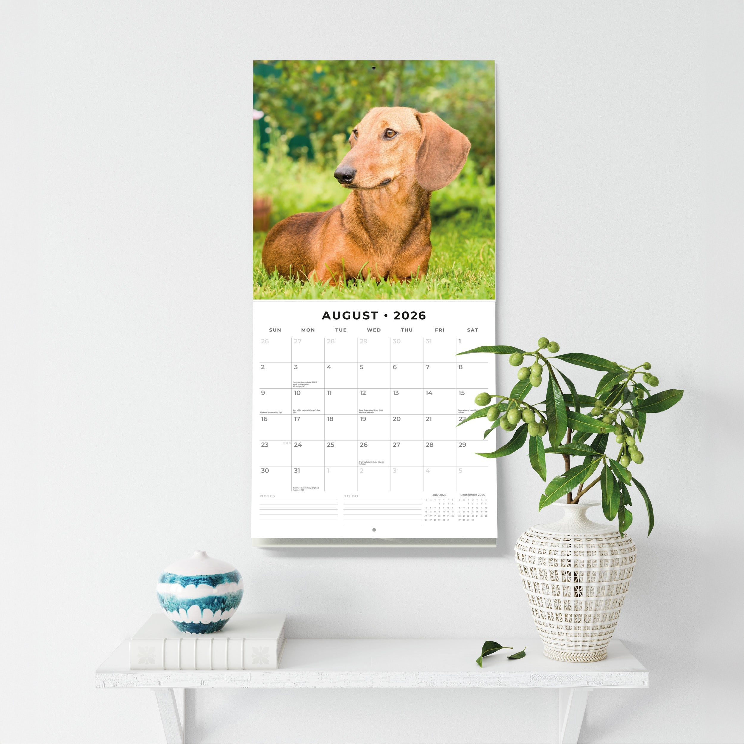 2026 Dachshunds - Square Wall Calendar