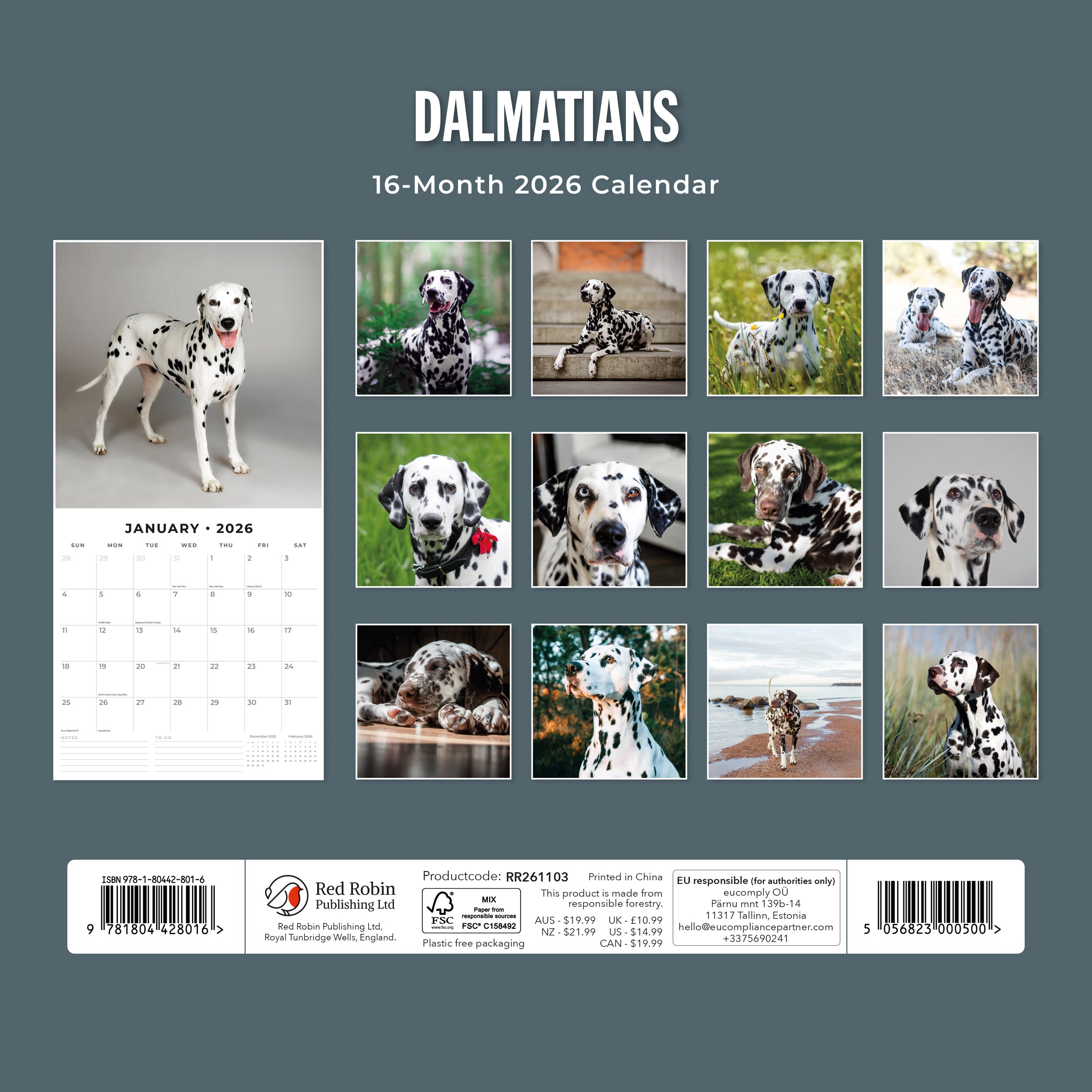 2026 Dalmatians - Square Wall Calendar