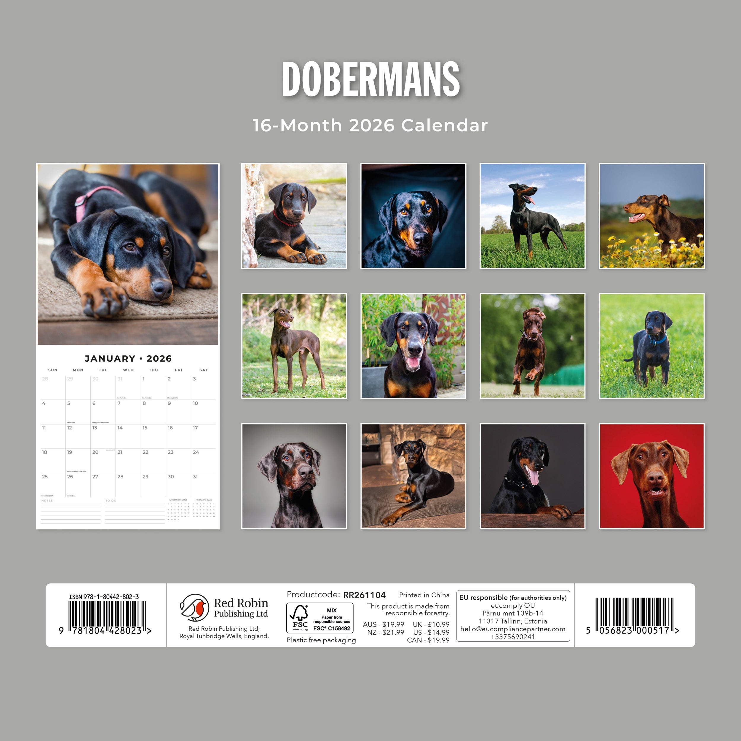 2026 Dobermans - Square Wall Calendar
