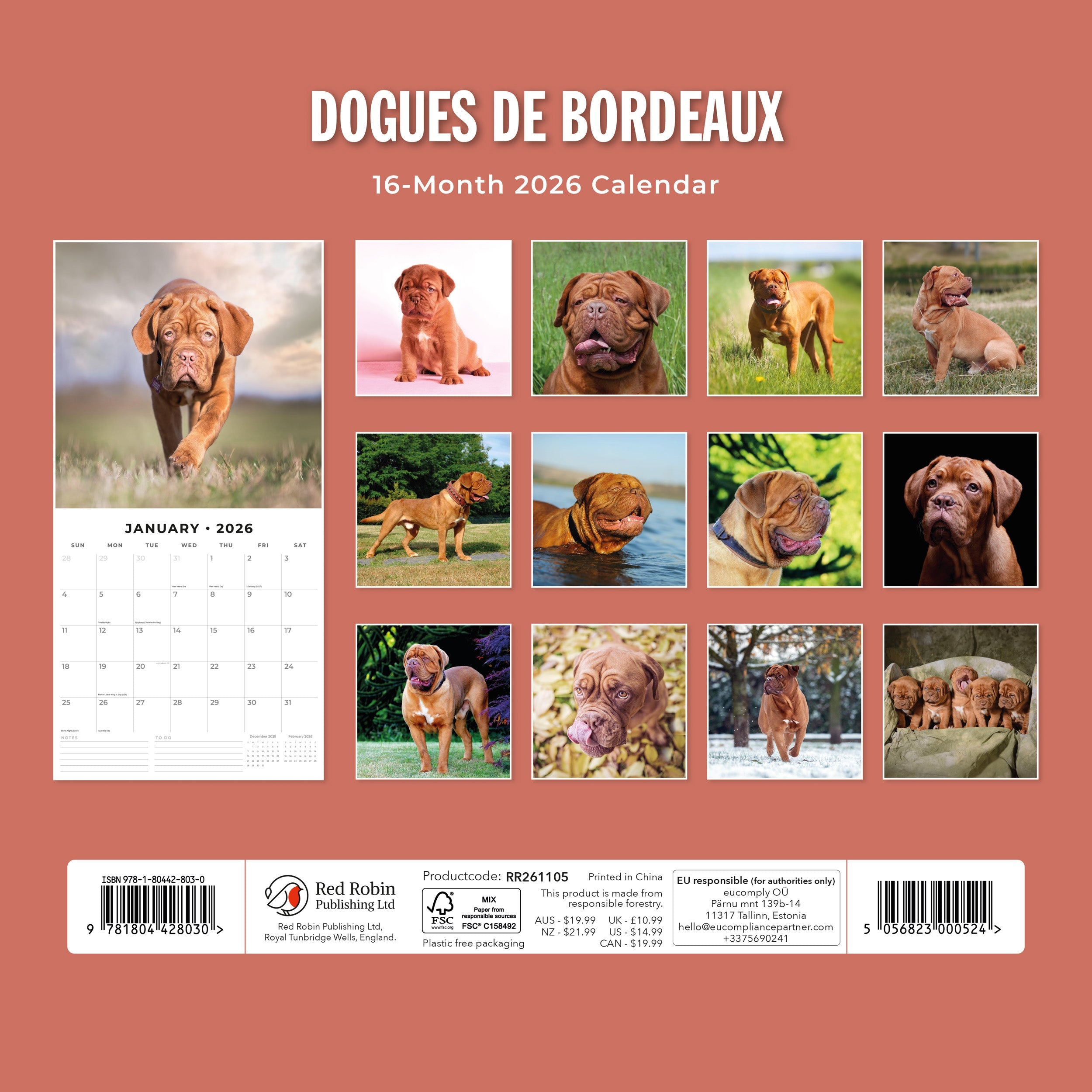 2026 Dogues de Bordeaux - Square Wall Calendar
