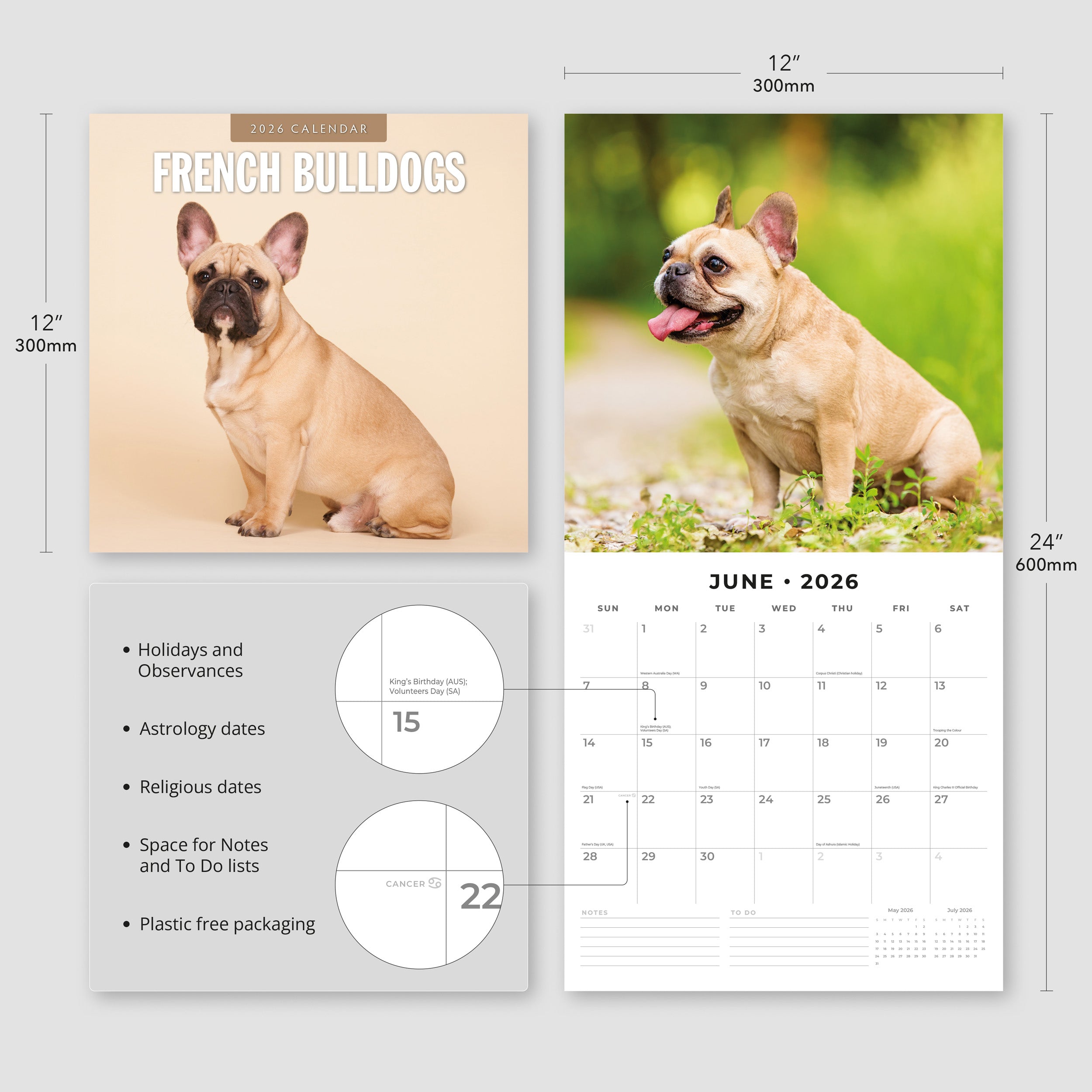 2026 French Bulldogs - Square Wall Calendar