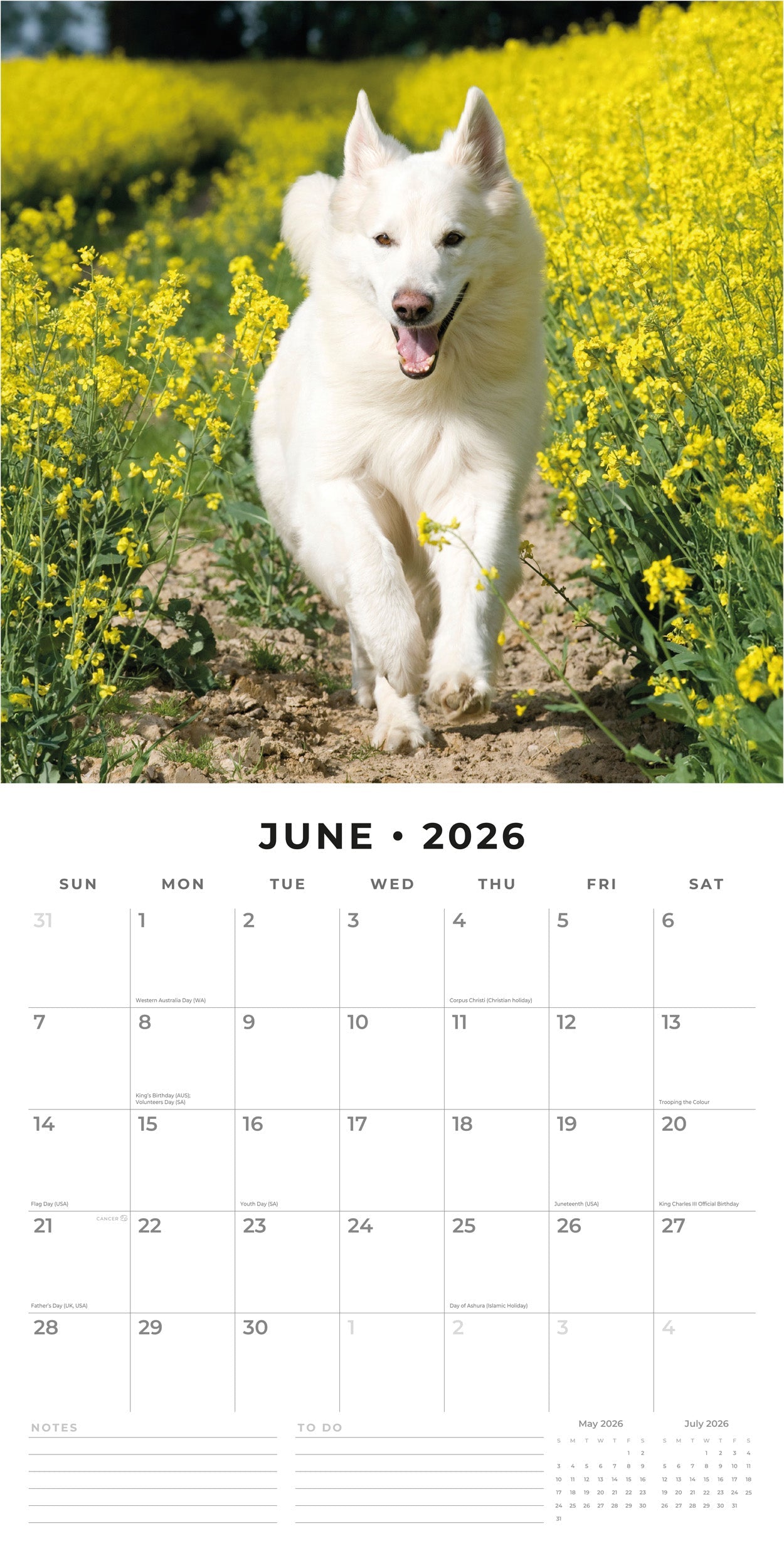 2026 German Shepherd, White - Square Wall Calendar