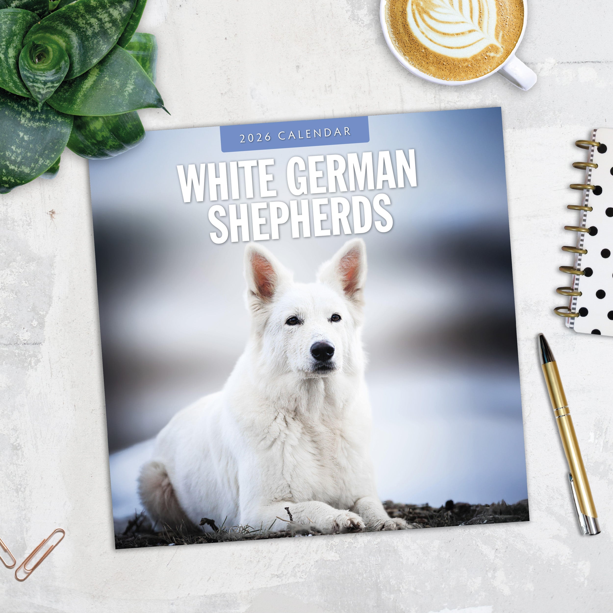 2026 German Shepherd, White - Square Wall Calendar