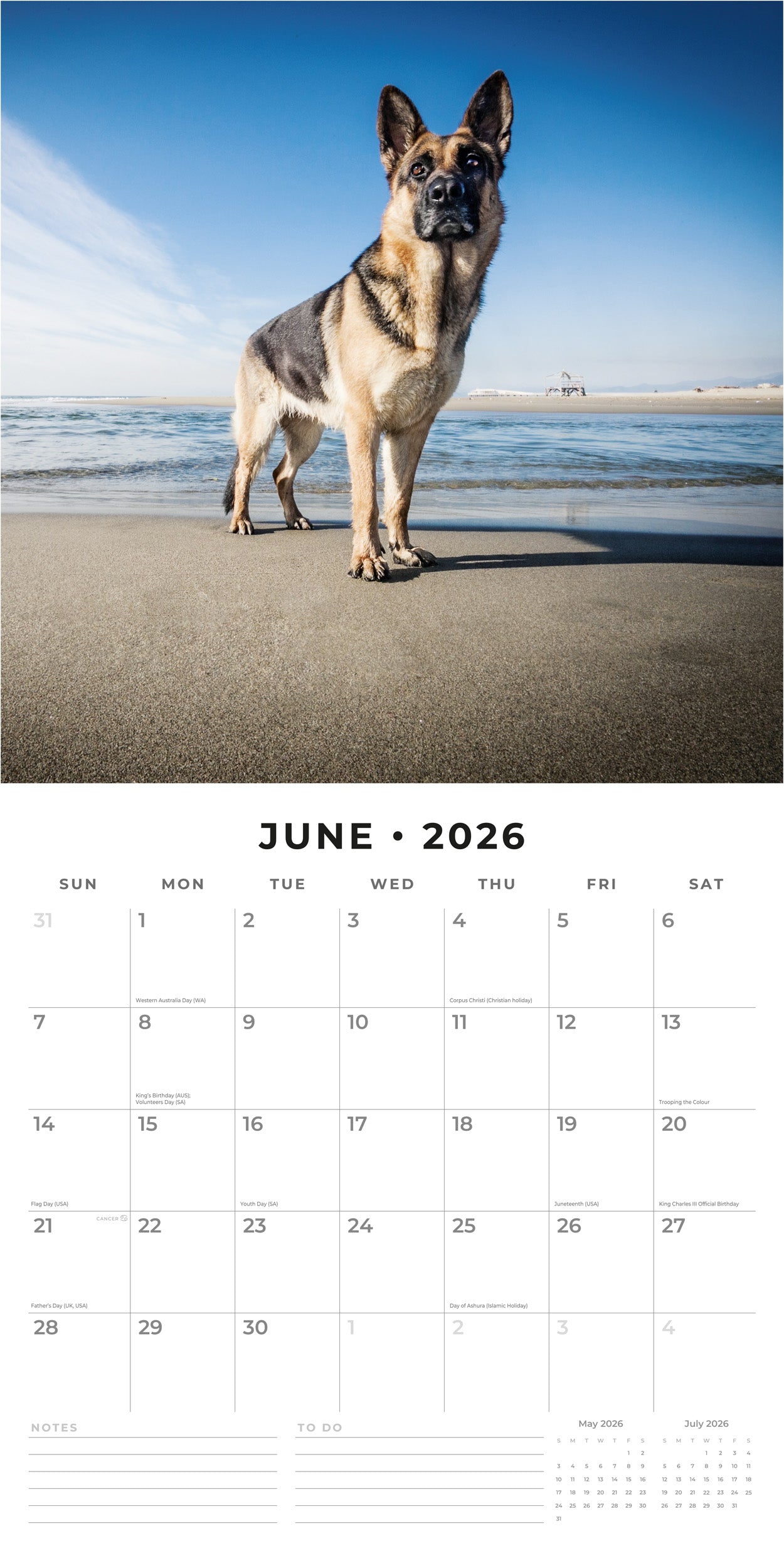 2026 German Shepherds - Square Wall Calendar