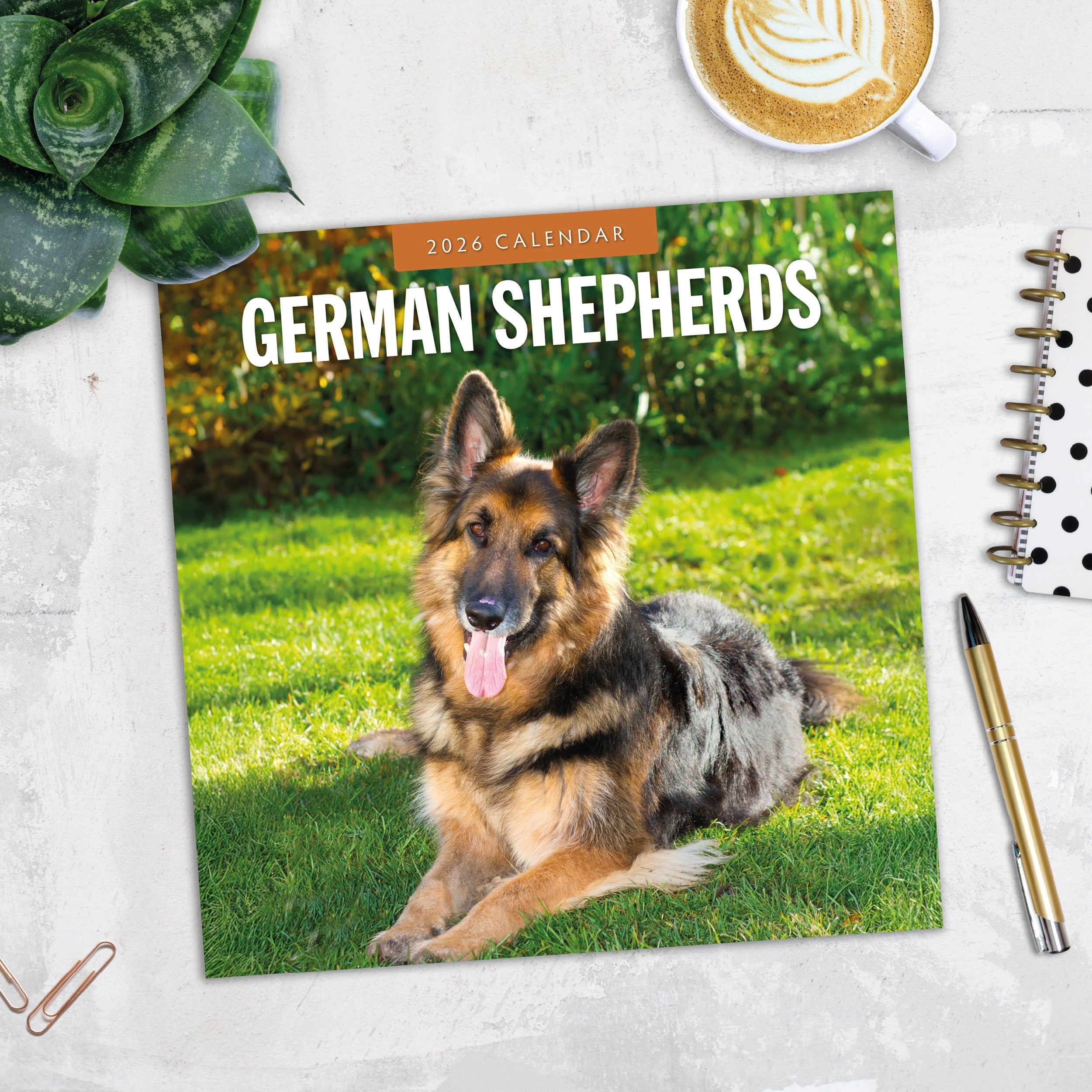 2026 German Shepherds - Square Wall Calendar