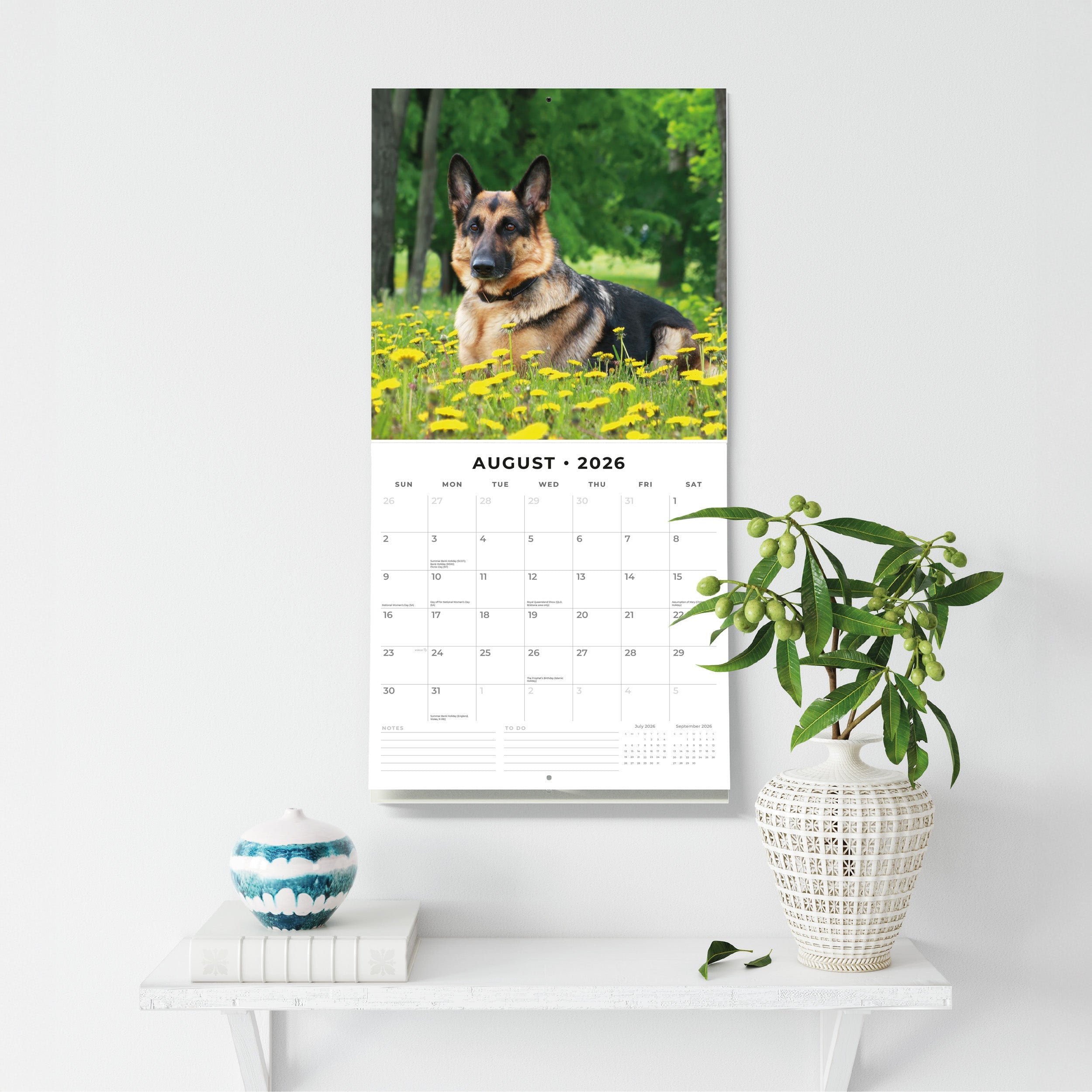2026 German Shepherds - Square Wall Calendar