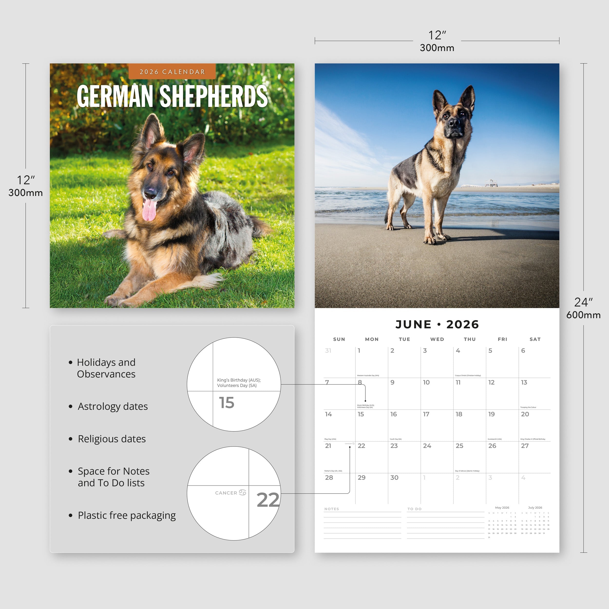 2026 German Shepherds - Square Wall Calendar